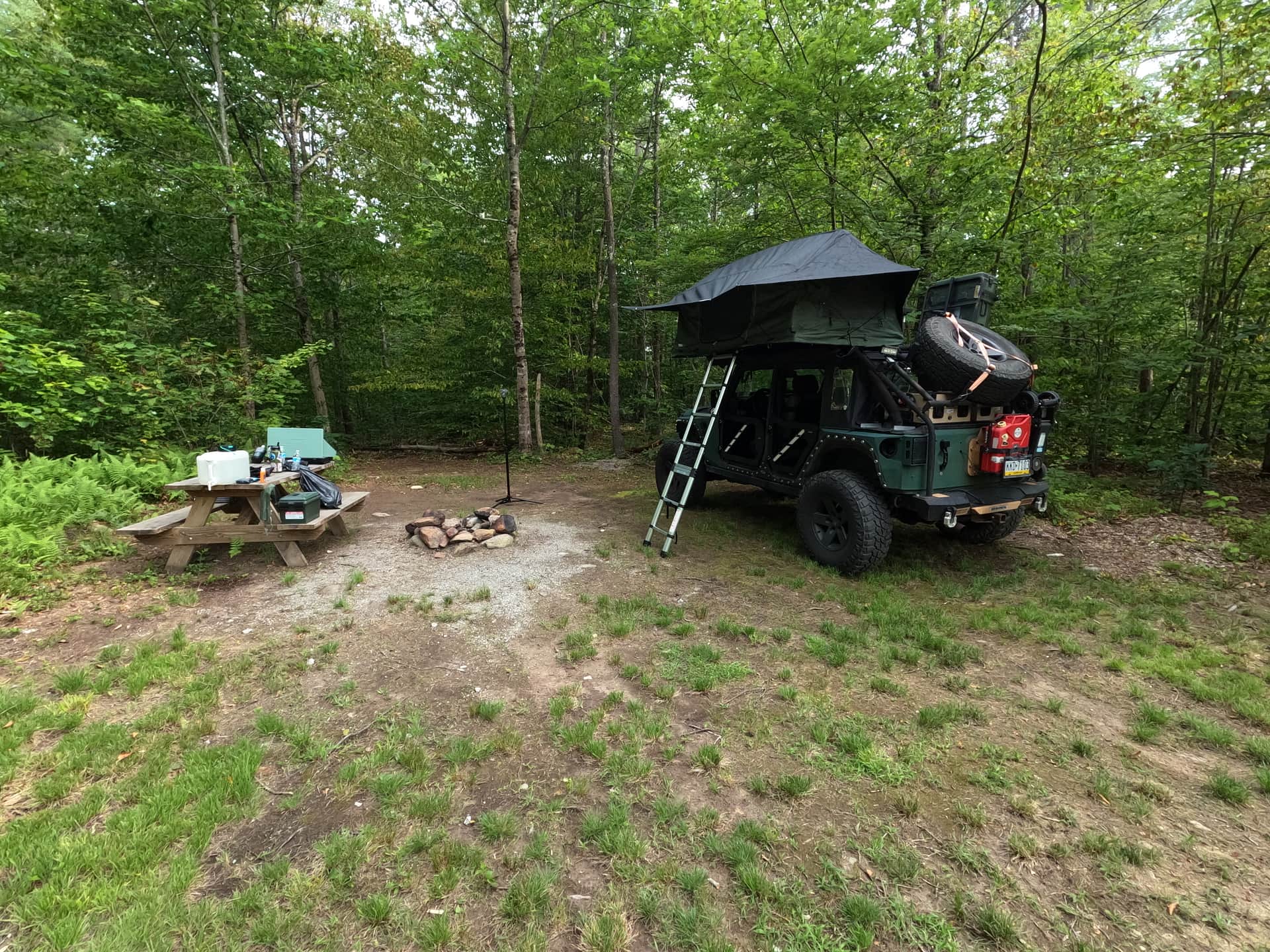 Picture of the site