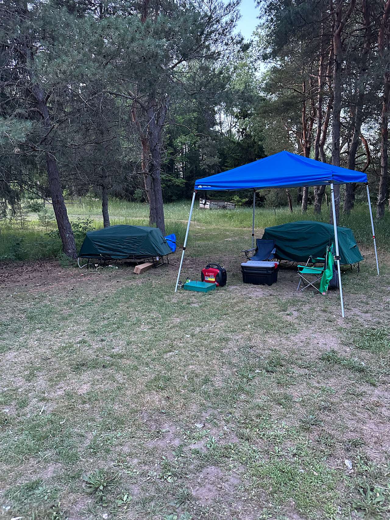 Picture of the site