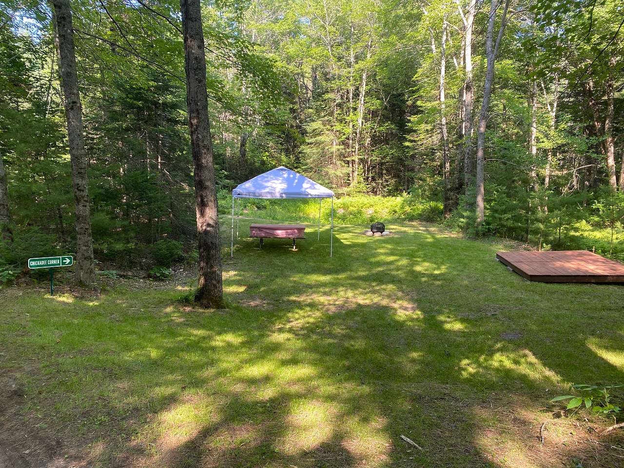 Picture of the site