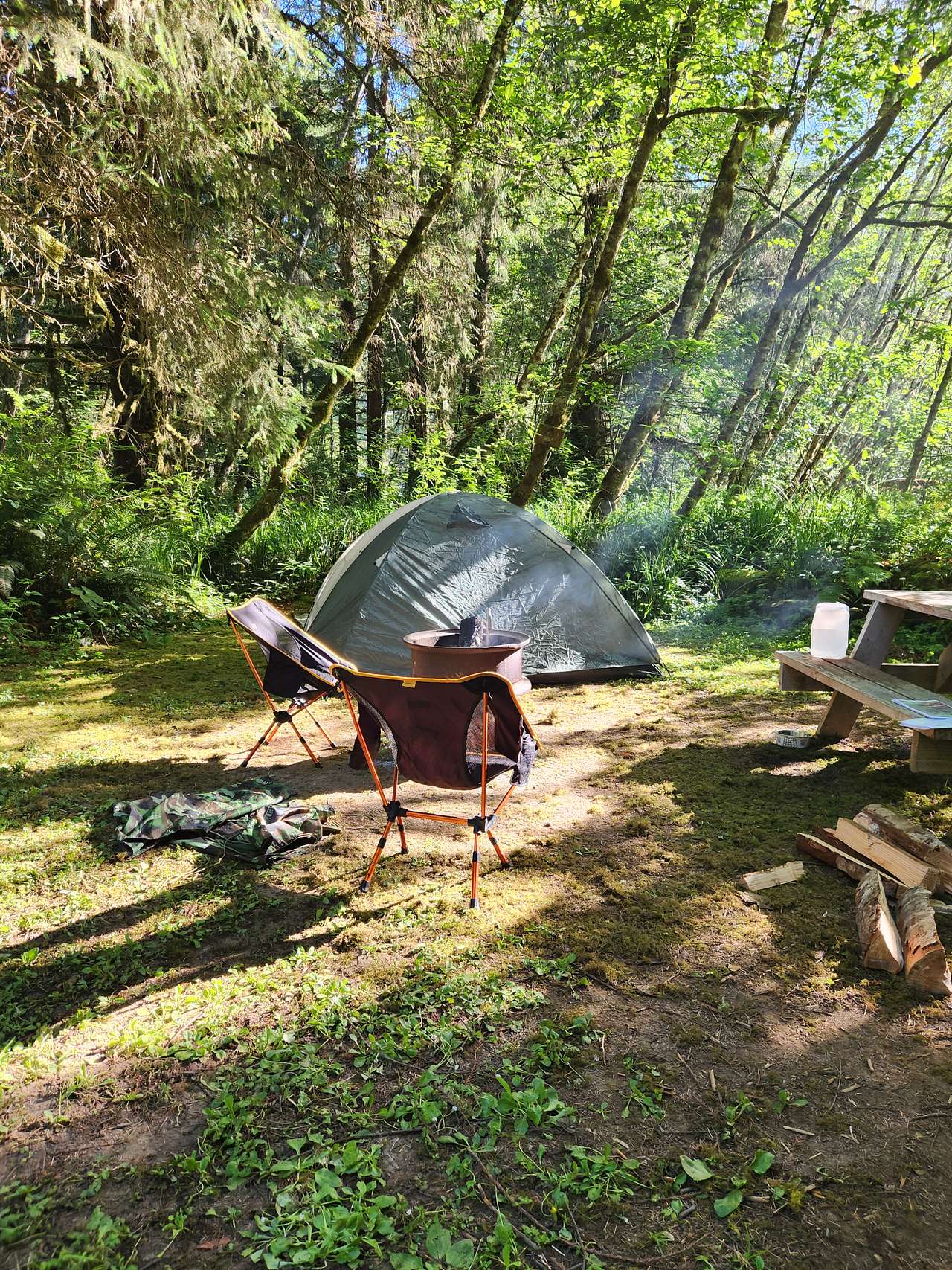 Picture of the site