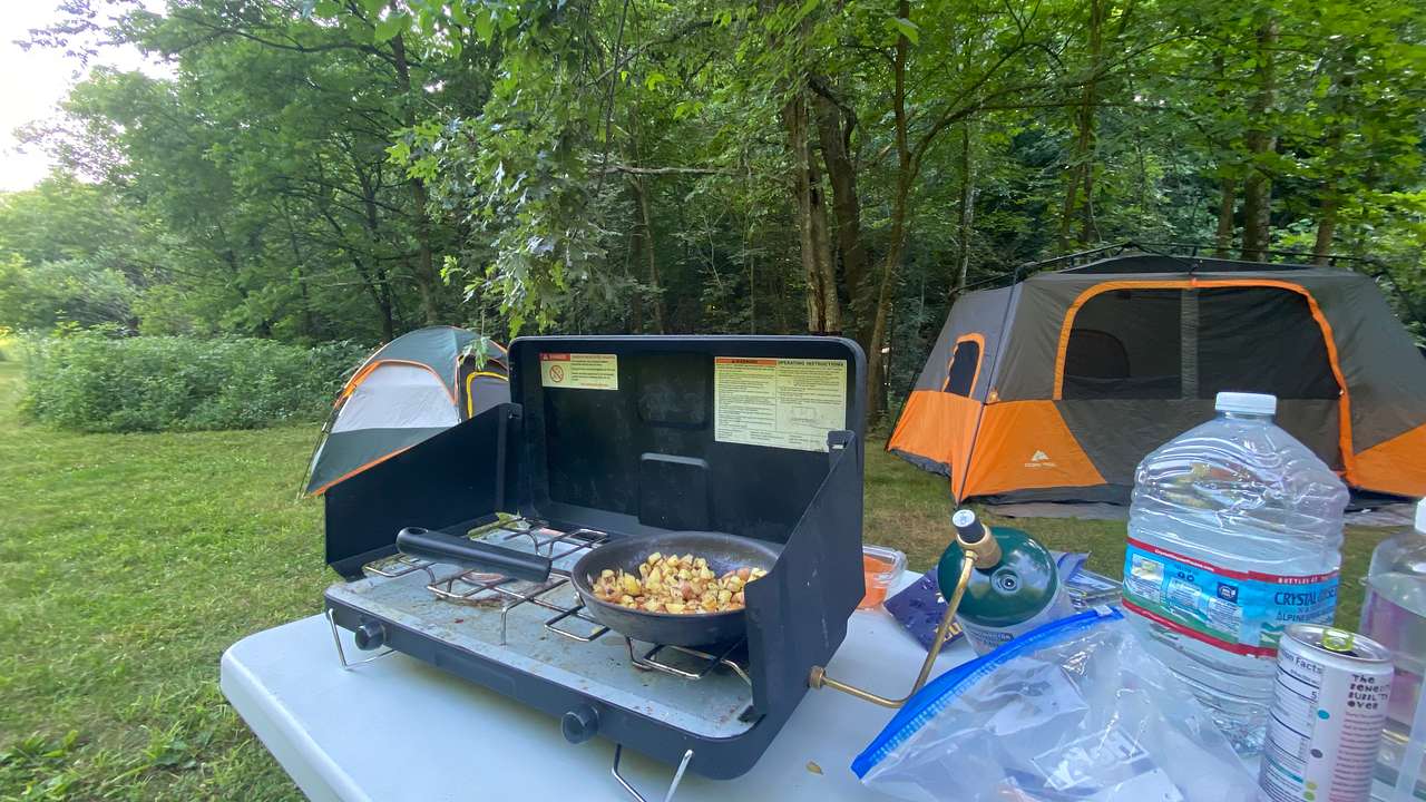 Picture of the site