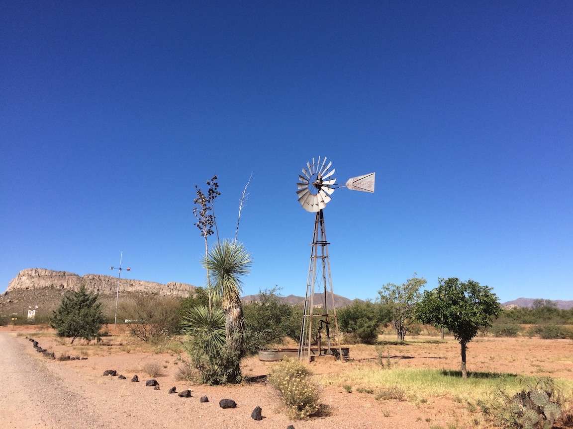 Picture of the site