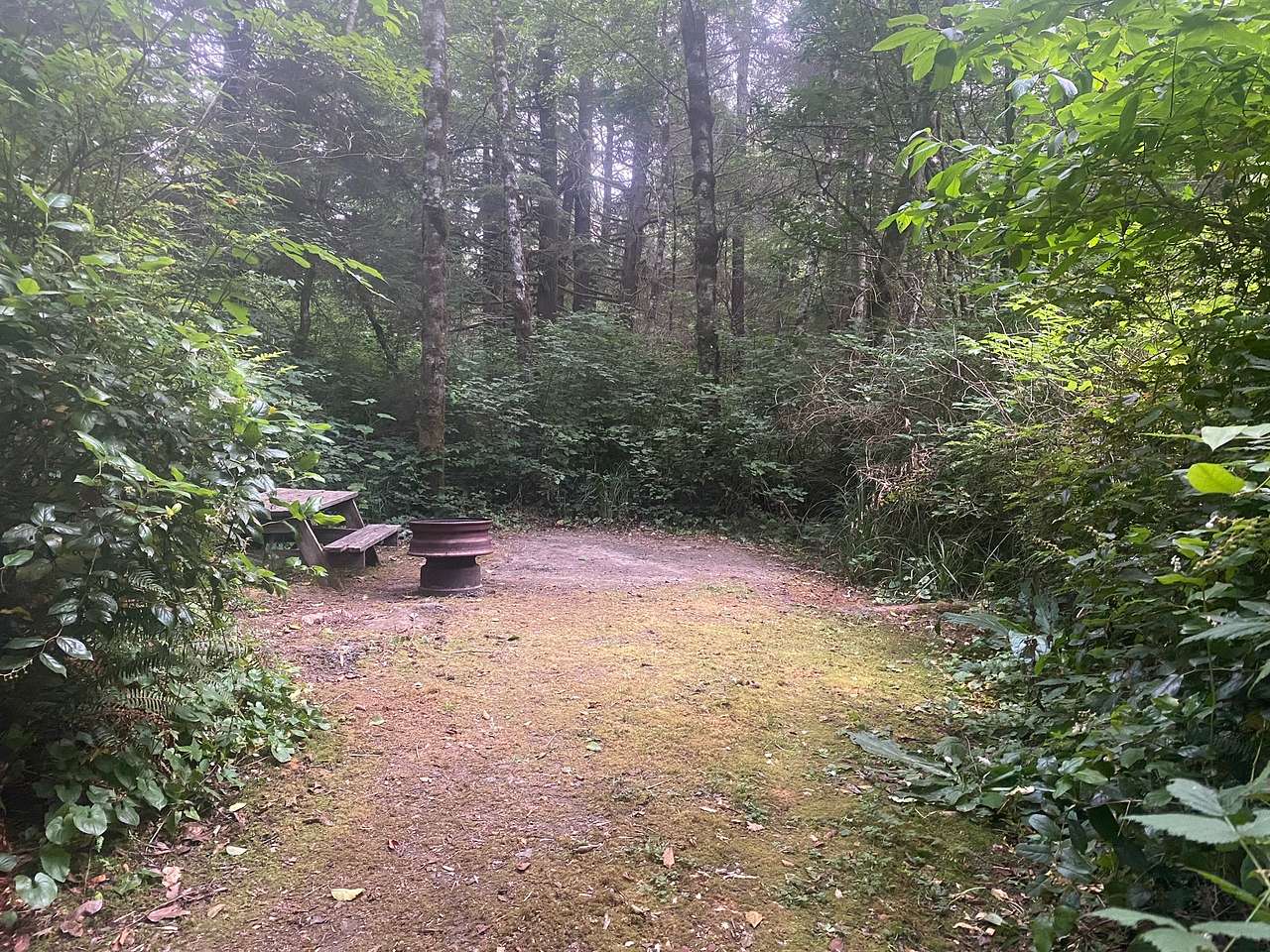 Picture of the site