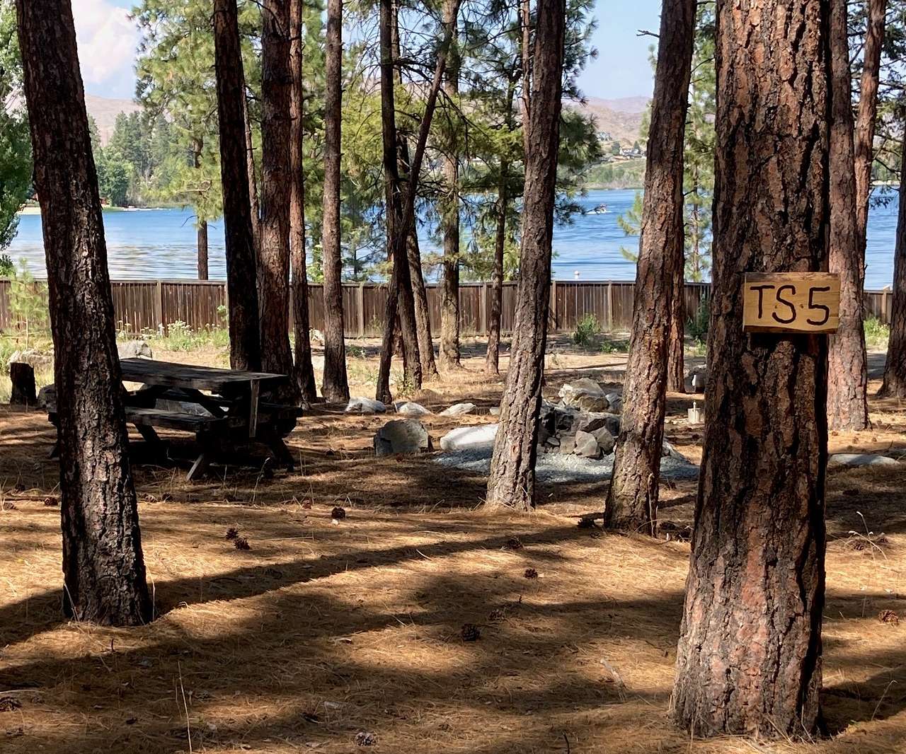 Picture of the site