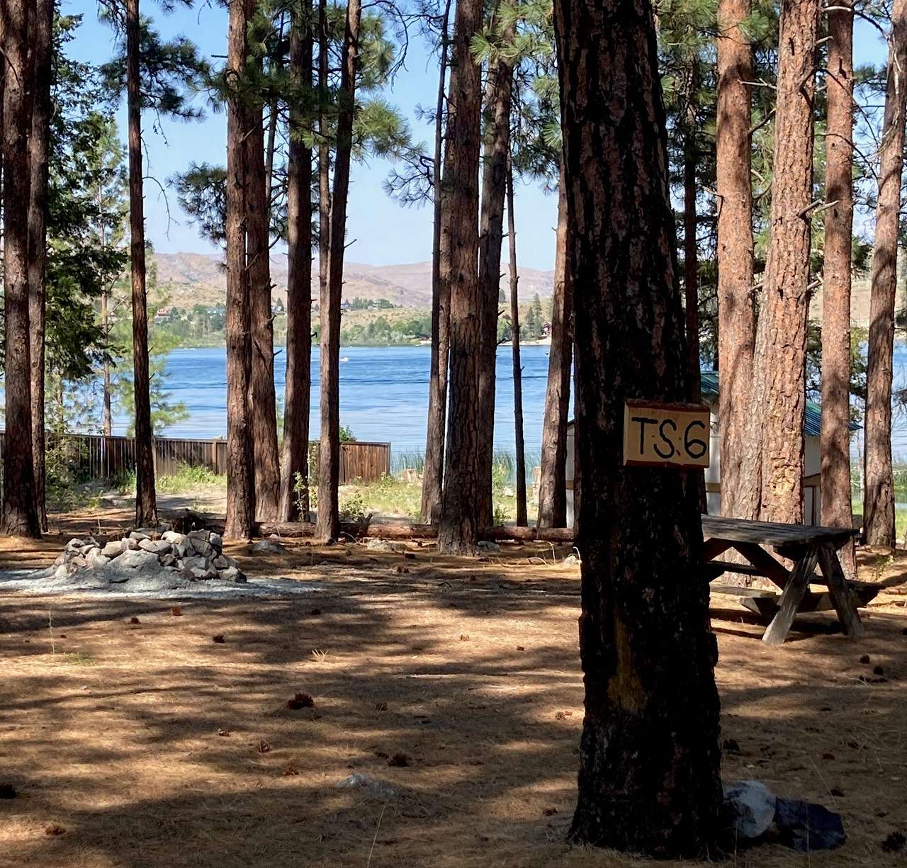 Picture of the site