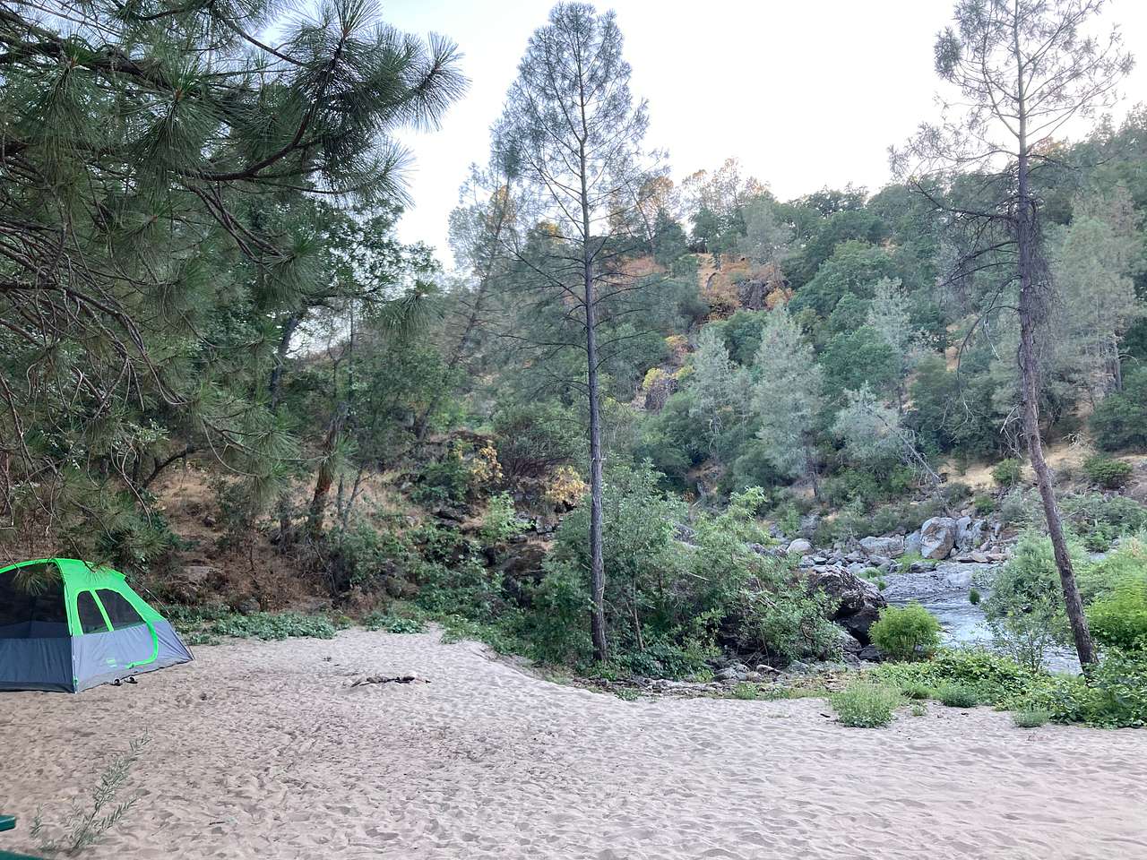 Picture of the site