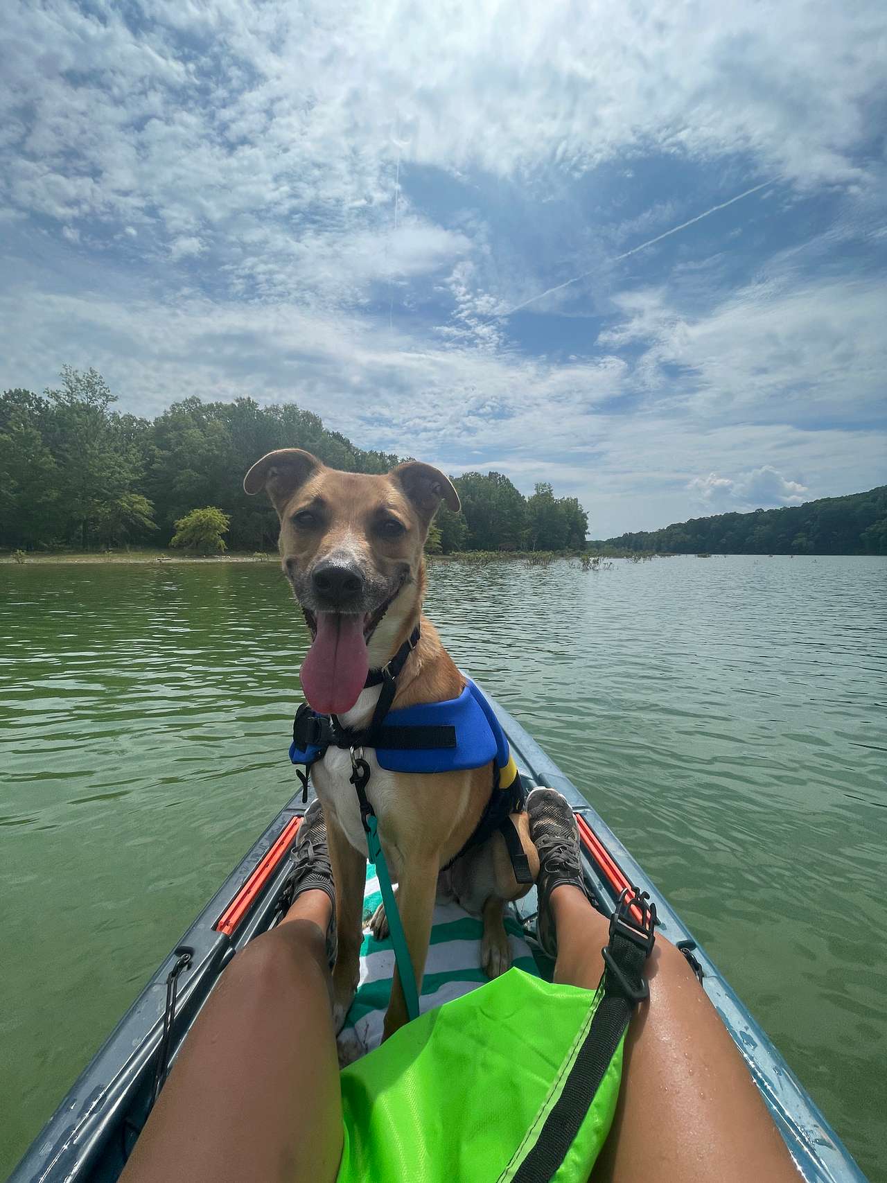 View pets photos of LAKESIDE GETAWAY ON DOUGLAS