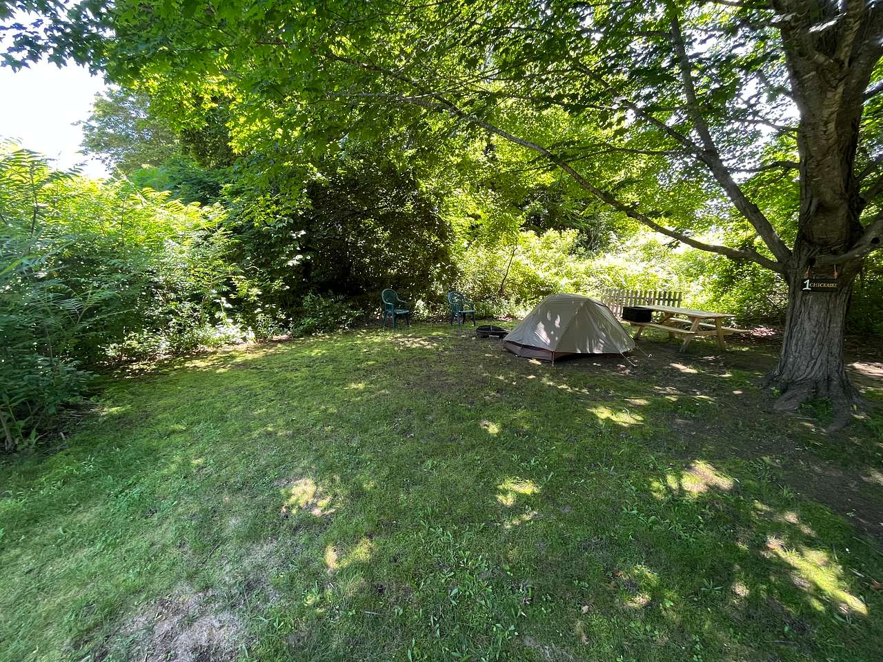 Picture of the site