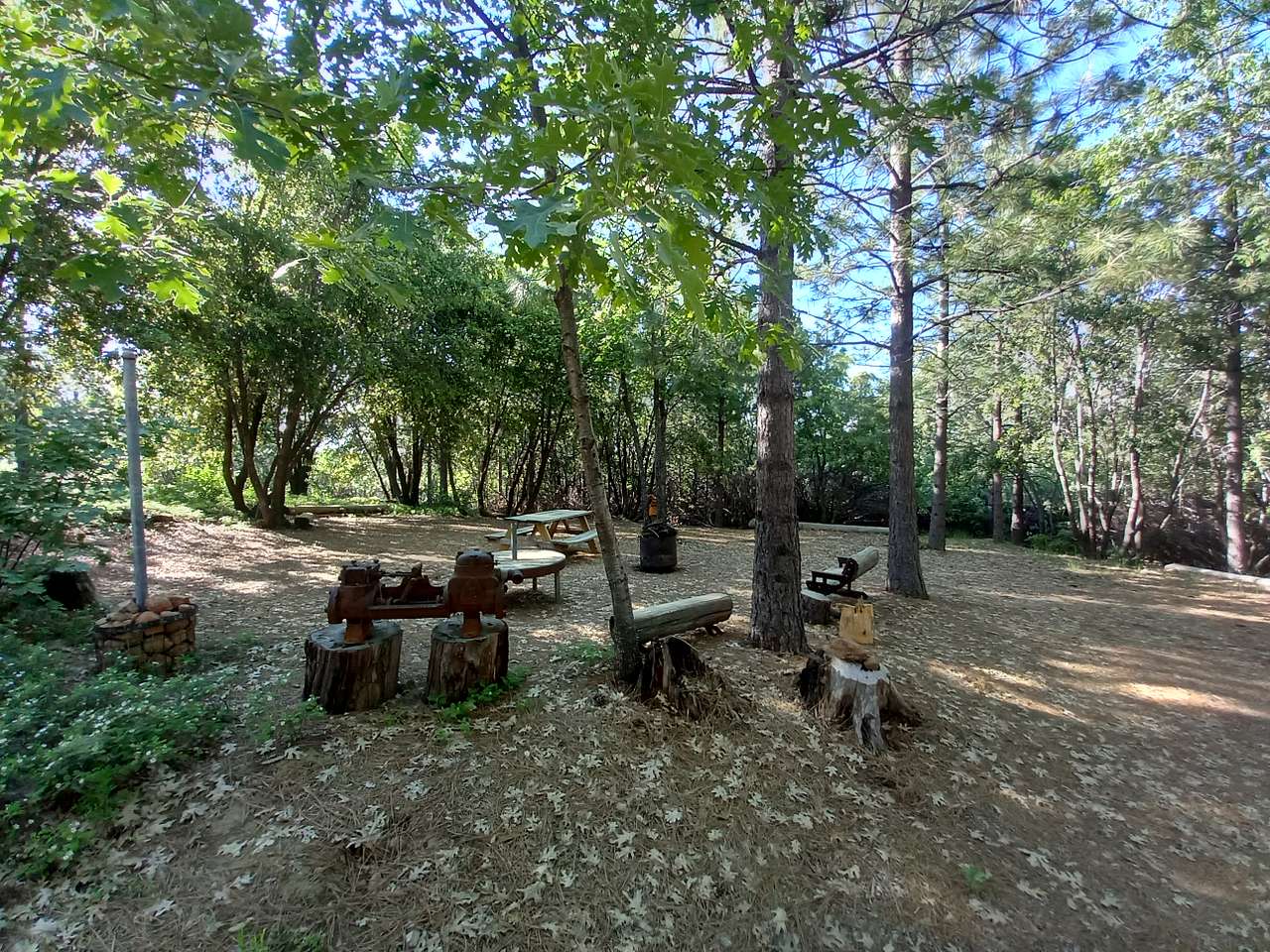 Picture of the site