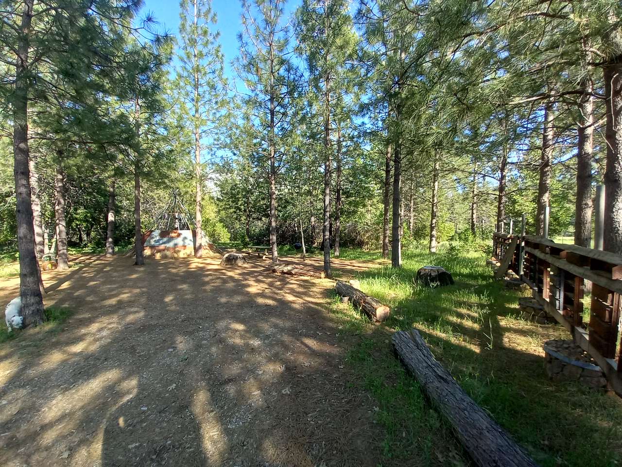 Picture of the site