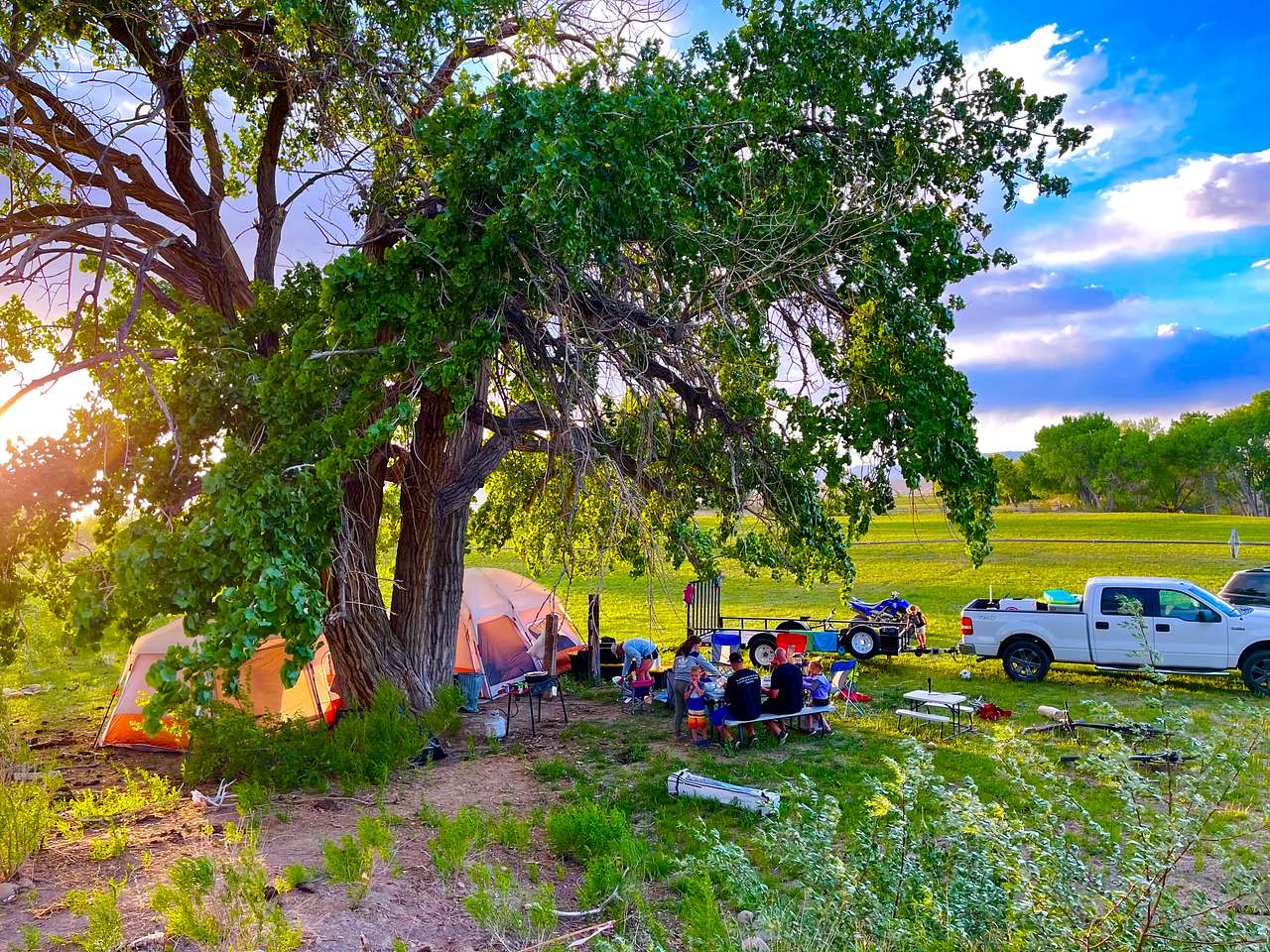 Picture of the site