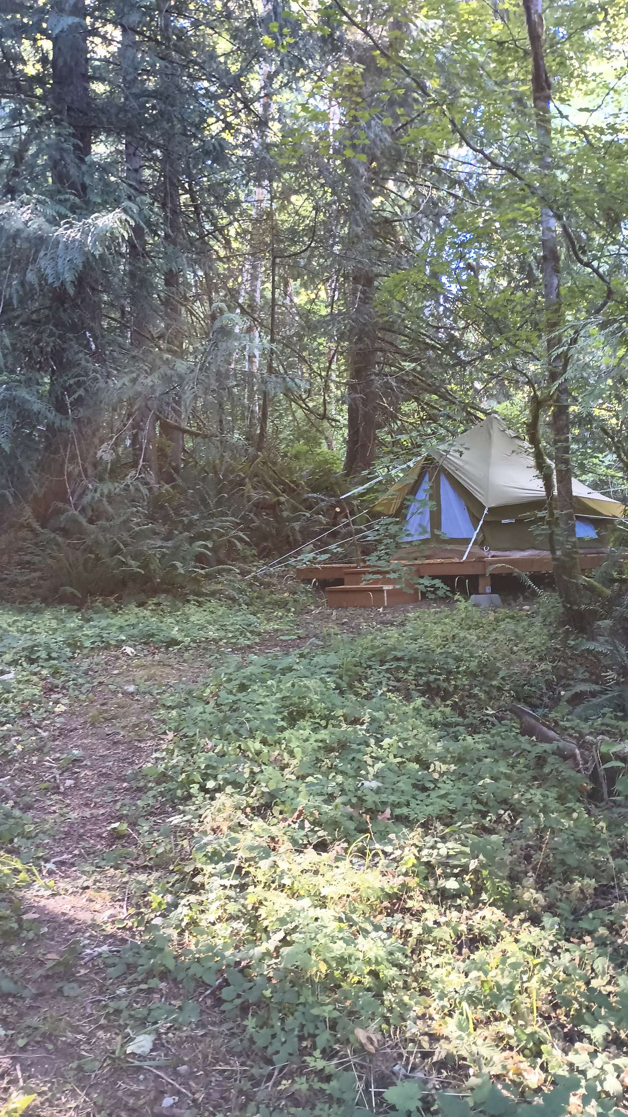 Picture of the site