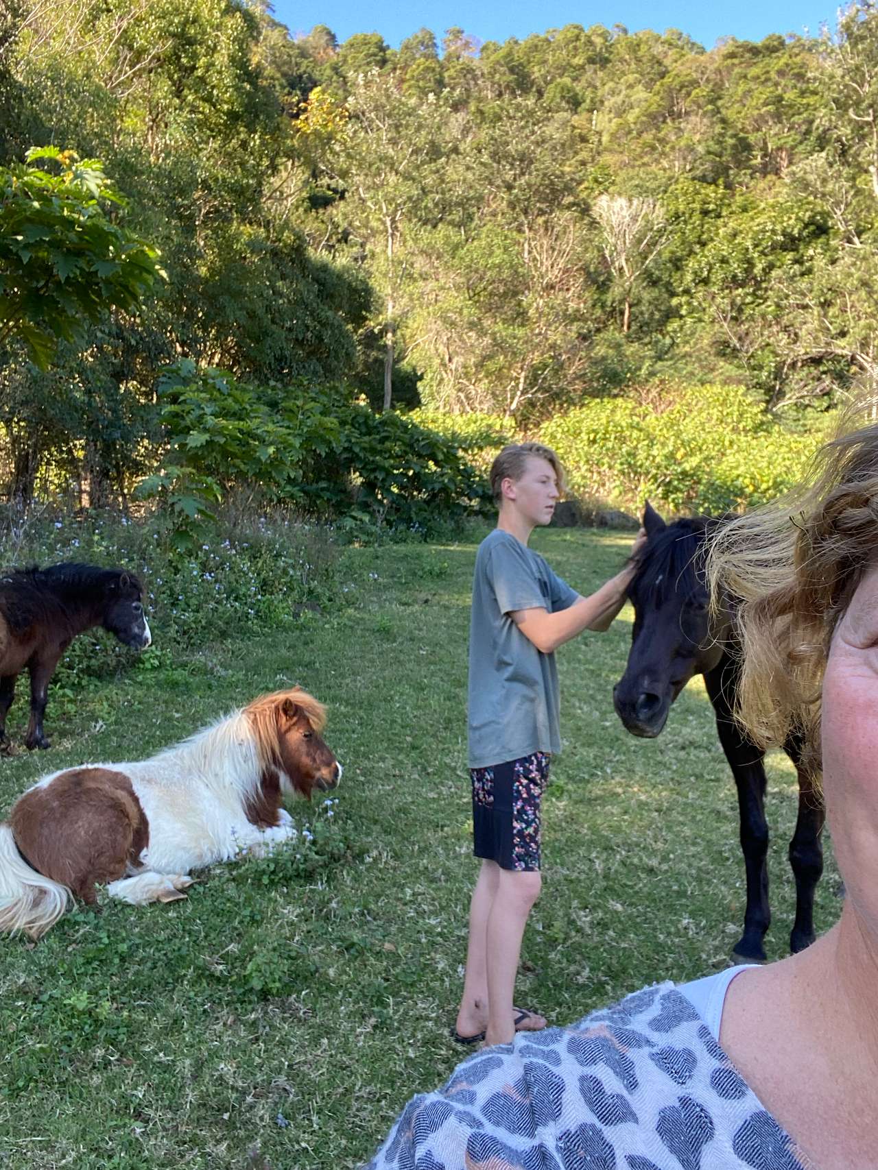 Grooming the horses and them waiting for thier turn.