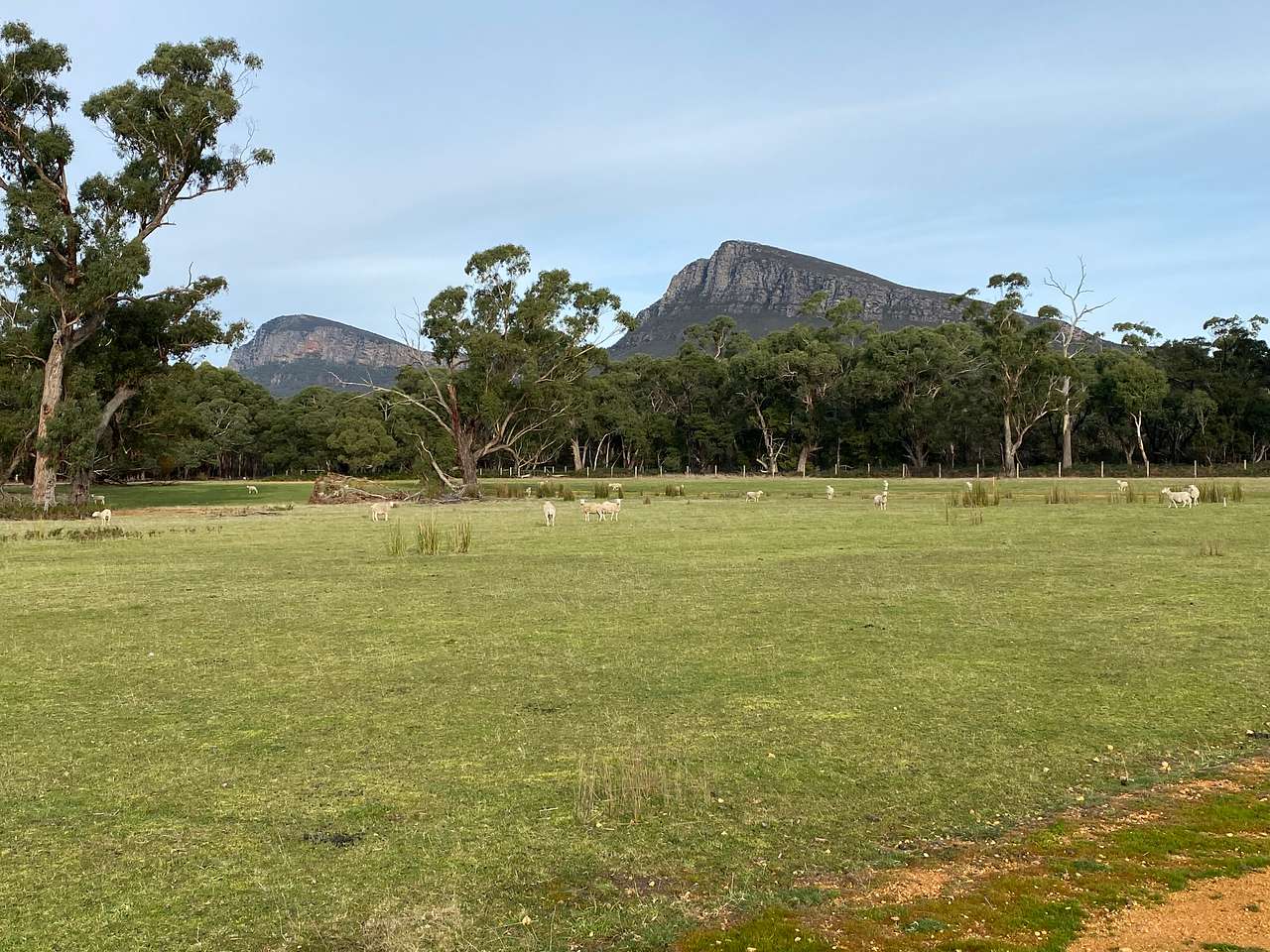 Picture of the site