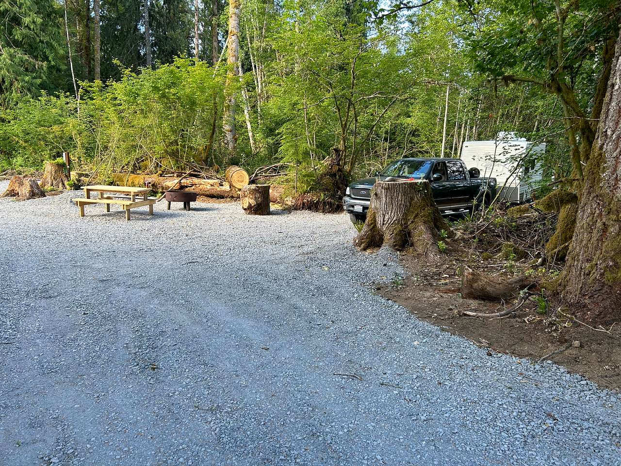 Picture of the site