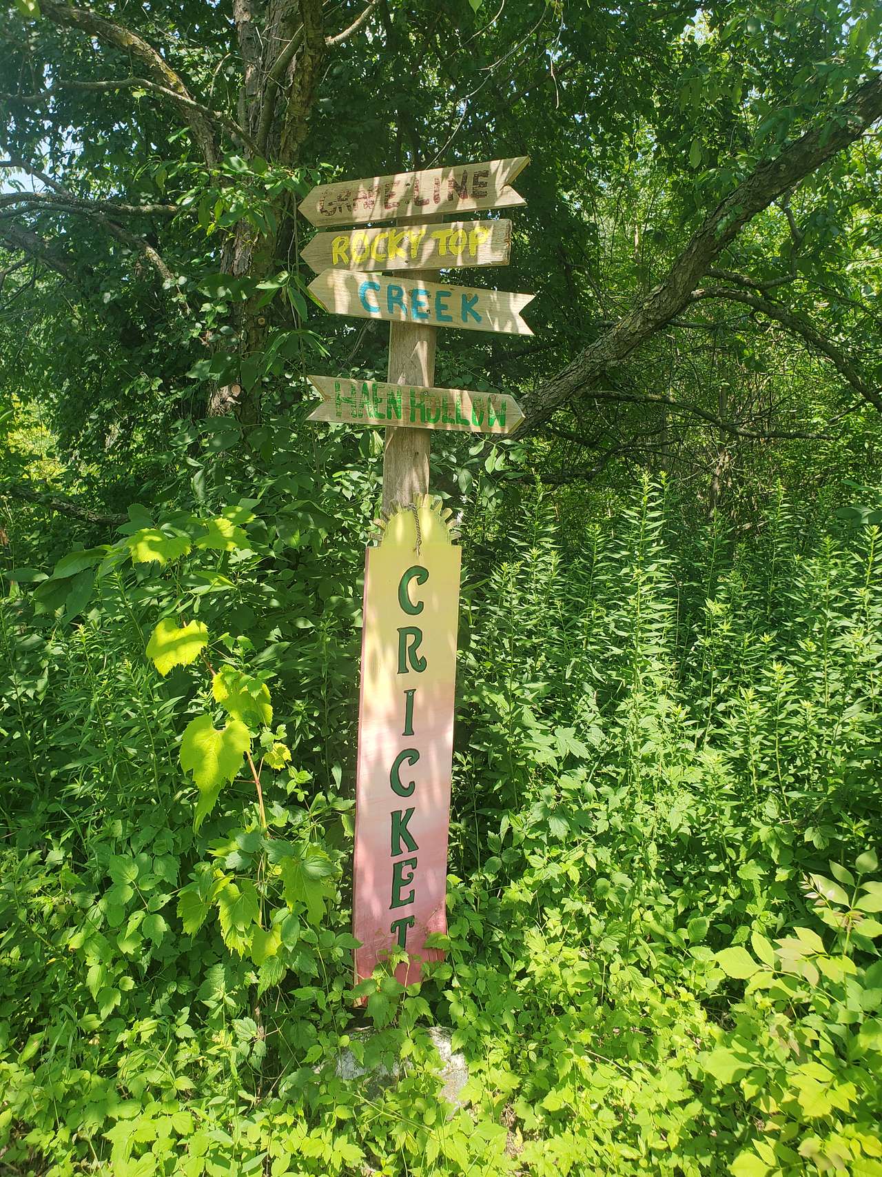 Picture of the site