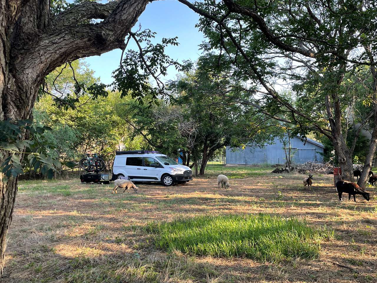Picture of the site