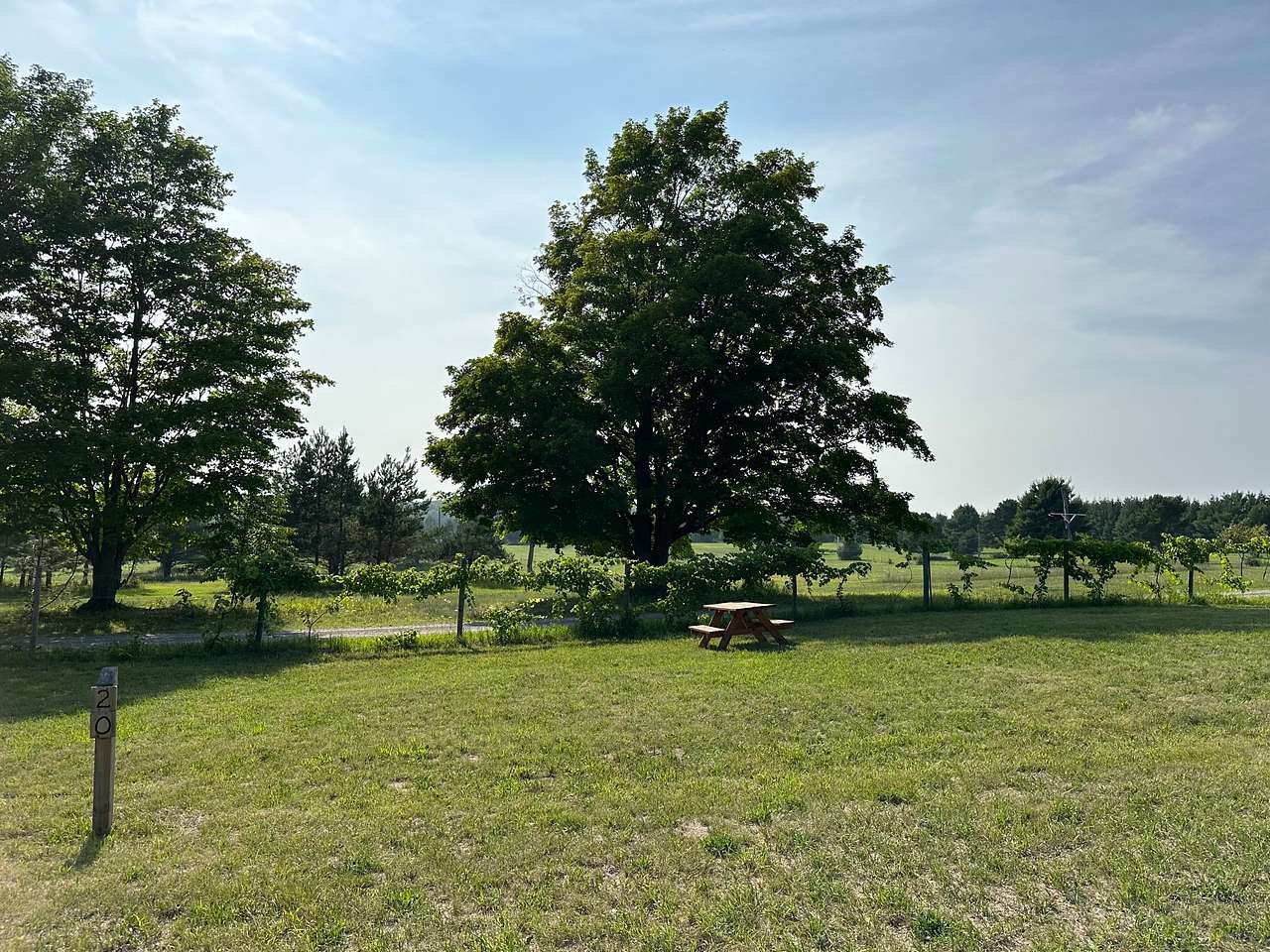 Picture of the site