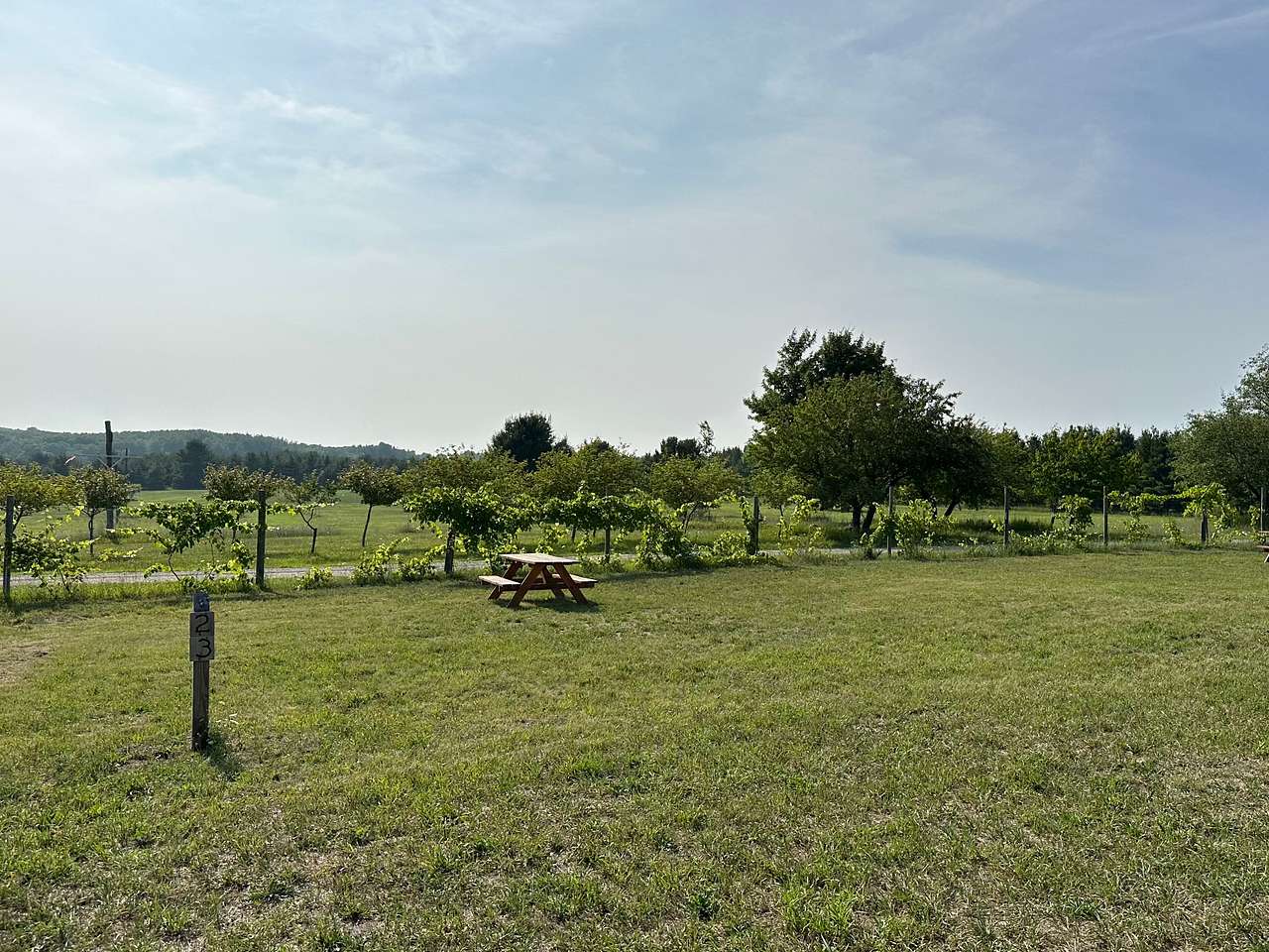 Picture of the site
