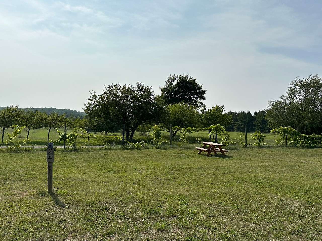 Picture of the site