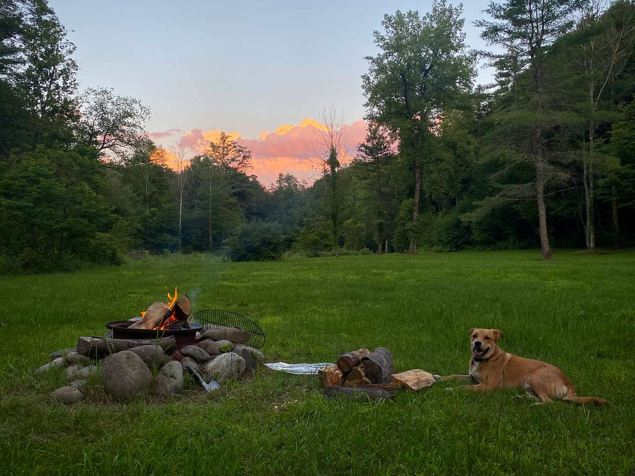 View pets photos of Towner's Country Paradise