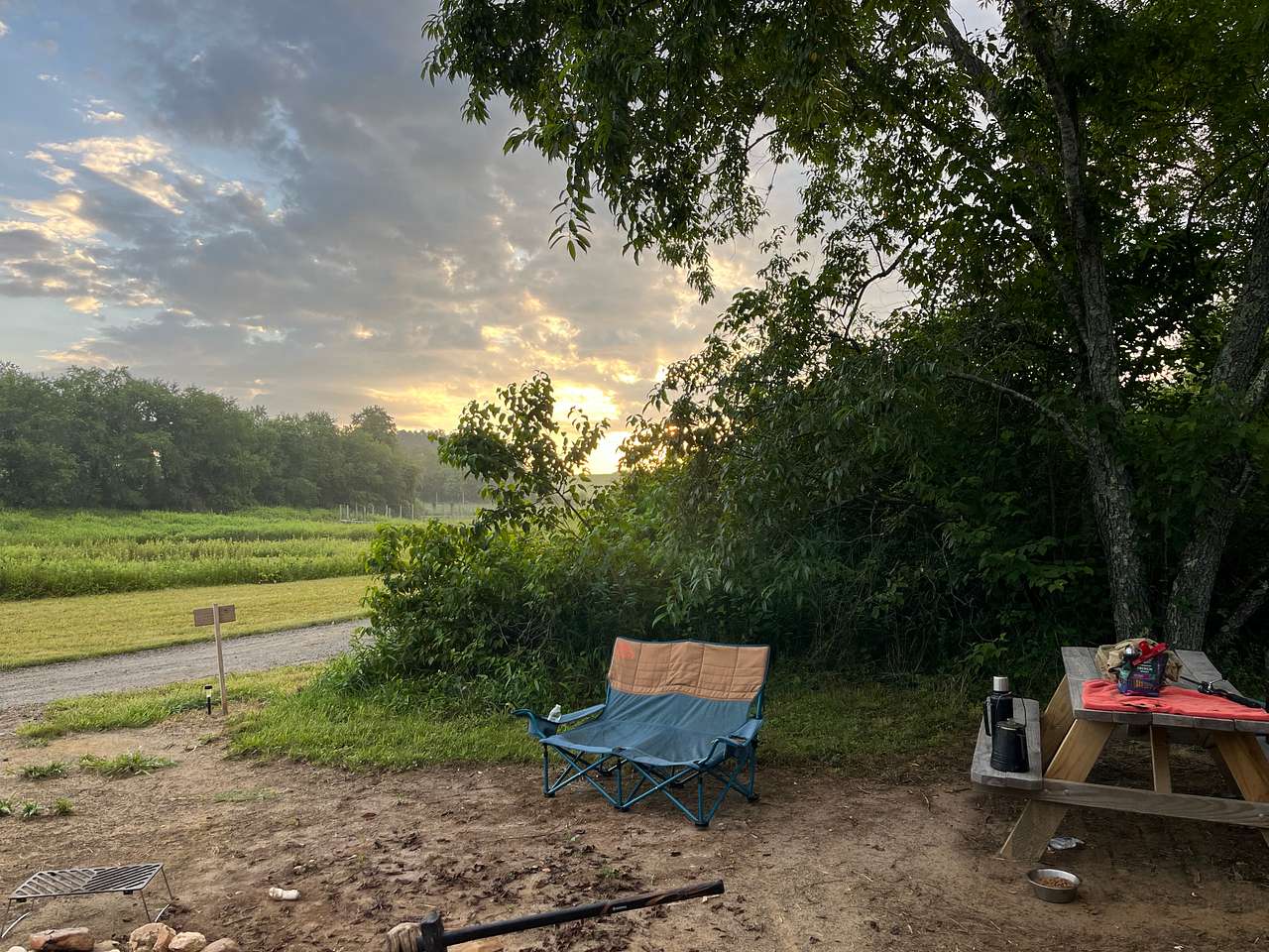 Picture of the site