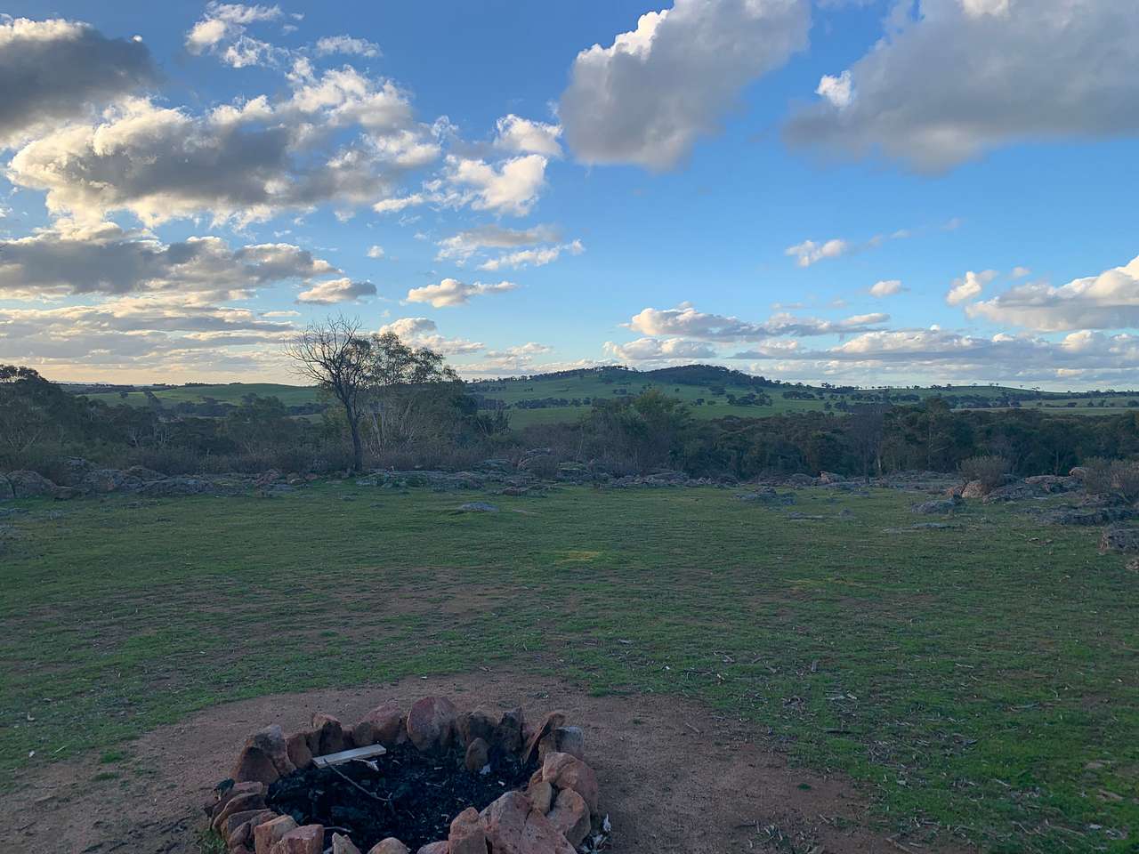 Picture of the site