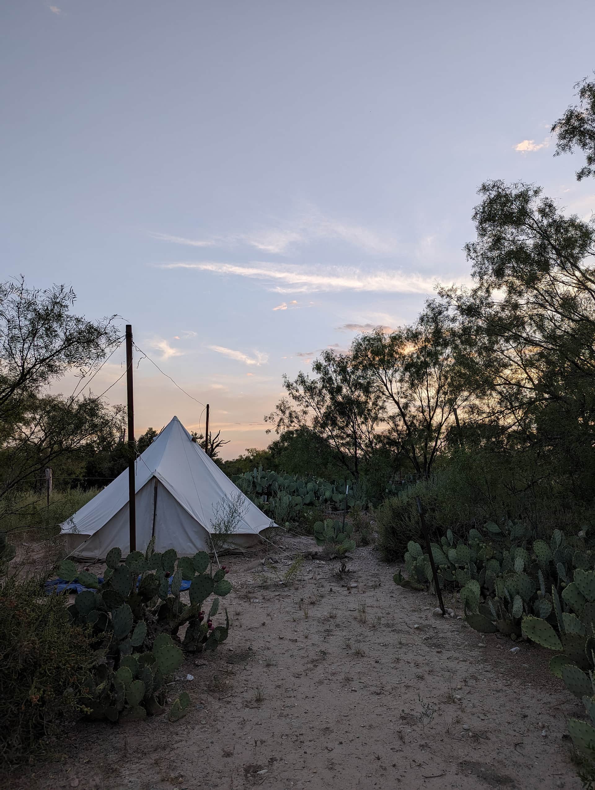 Picture of the site