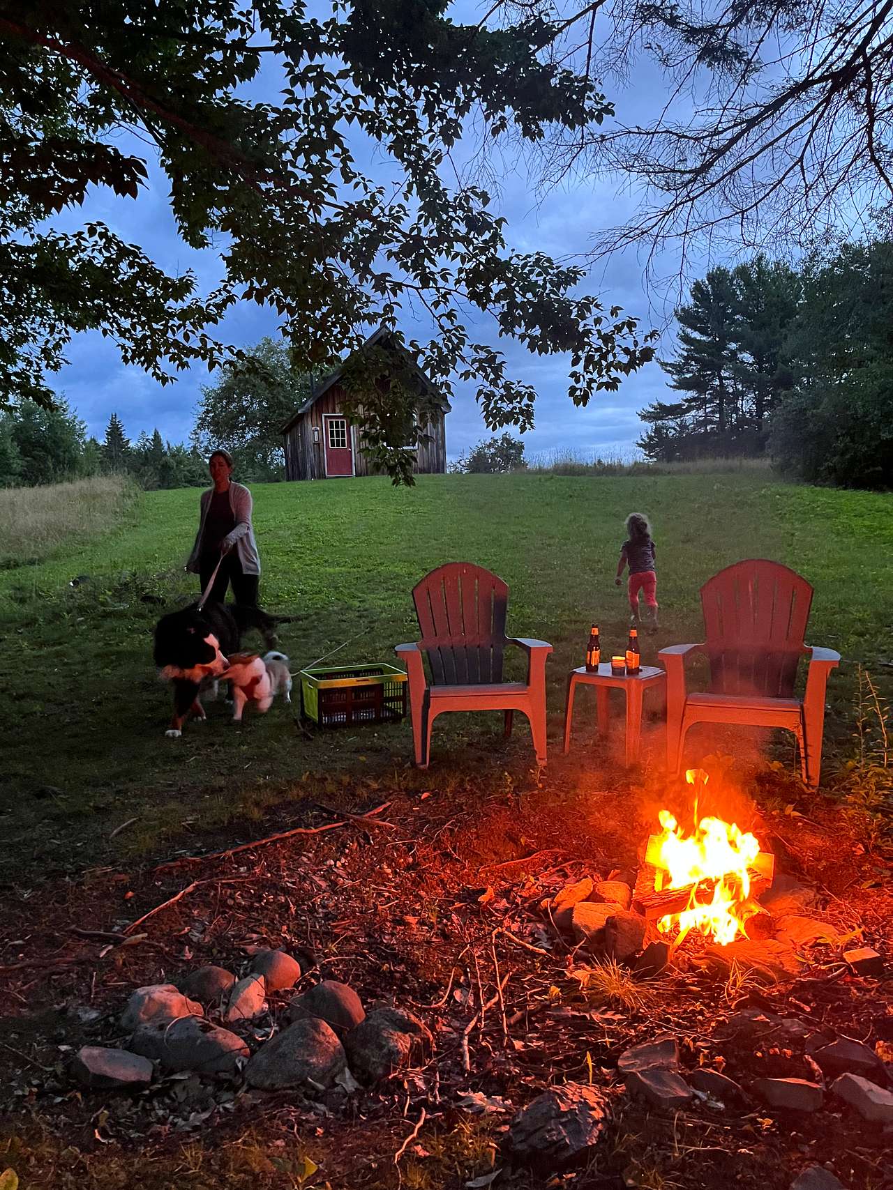 View pets photos of Graham Cracker Cabin and Campsites