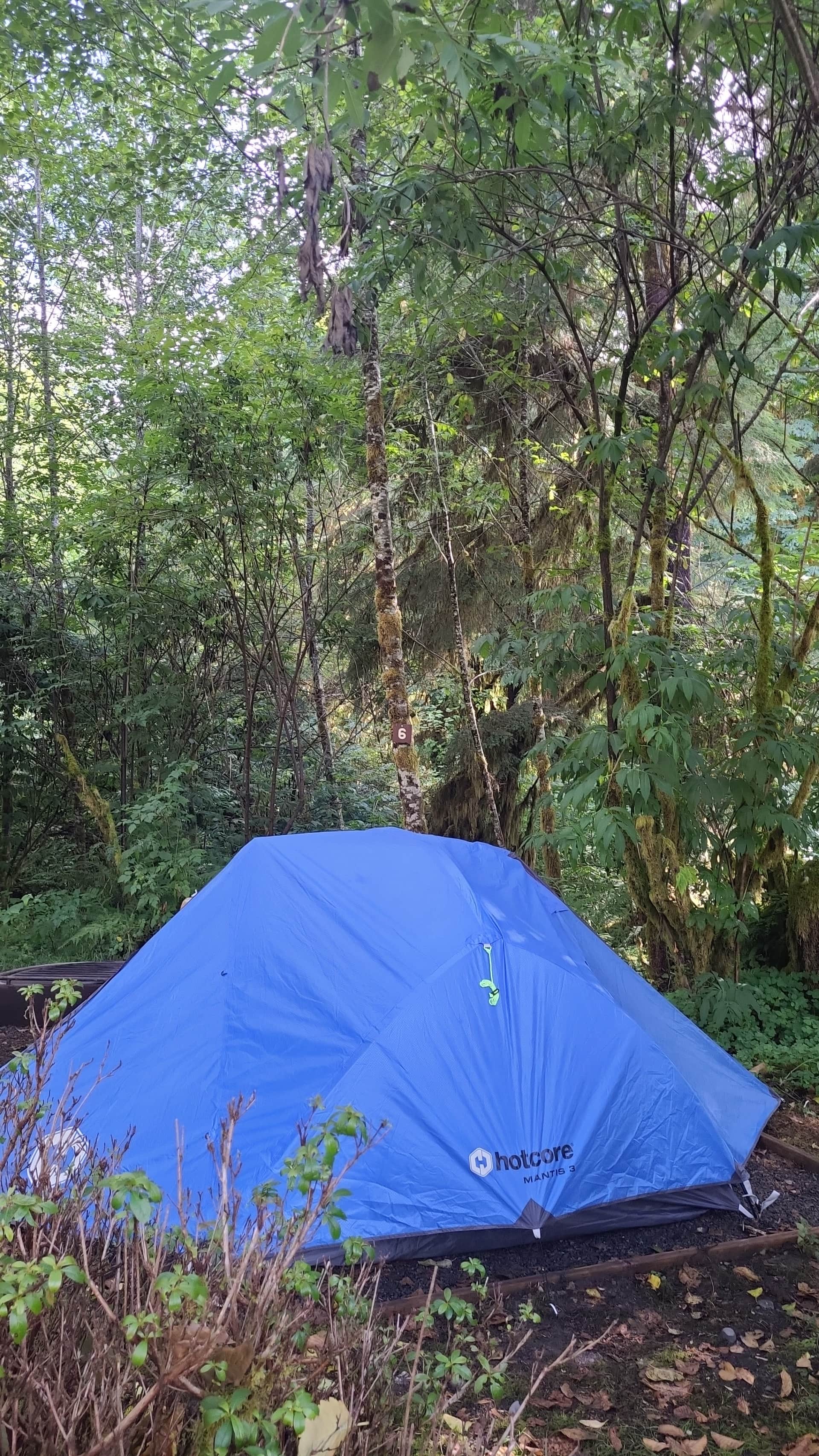 Picture of the site