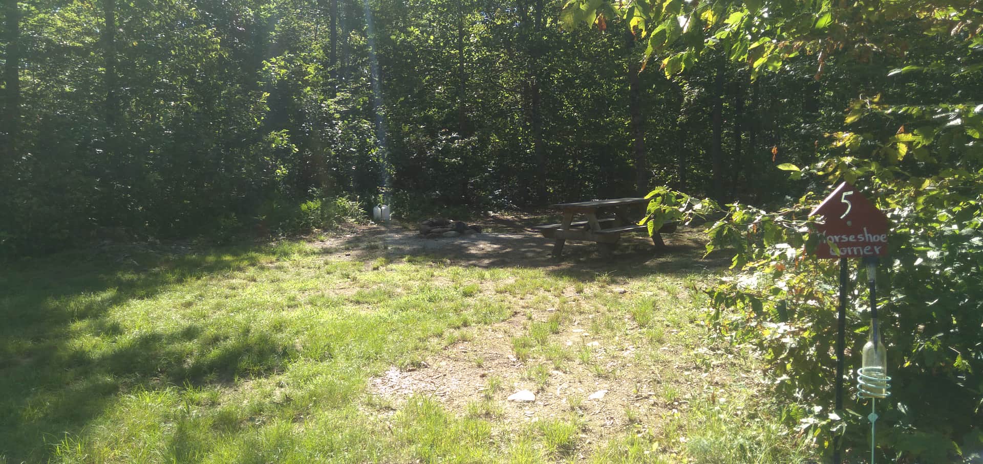 Picture of the site