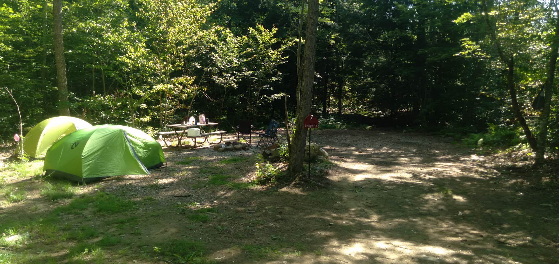 Picture of the site