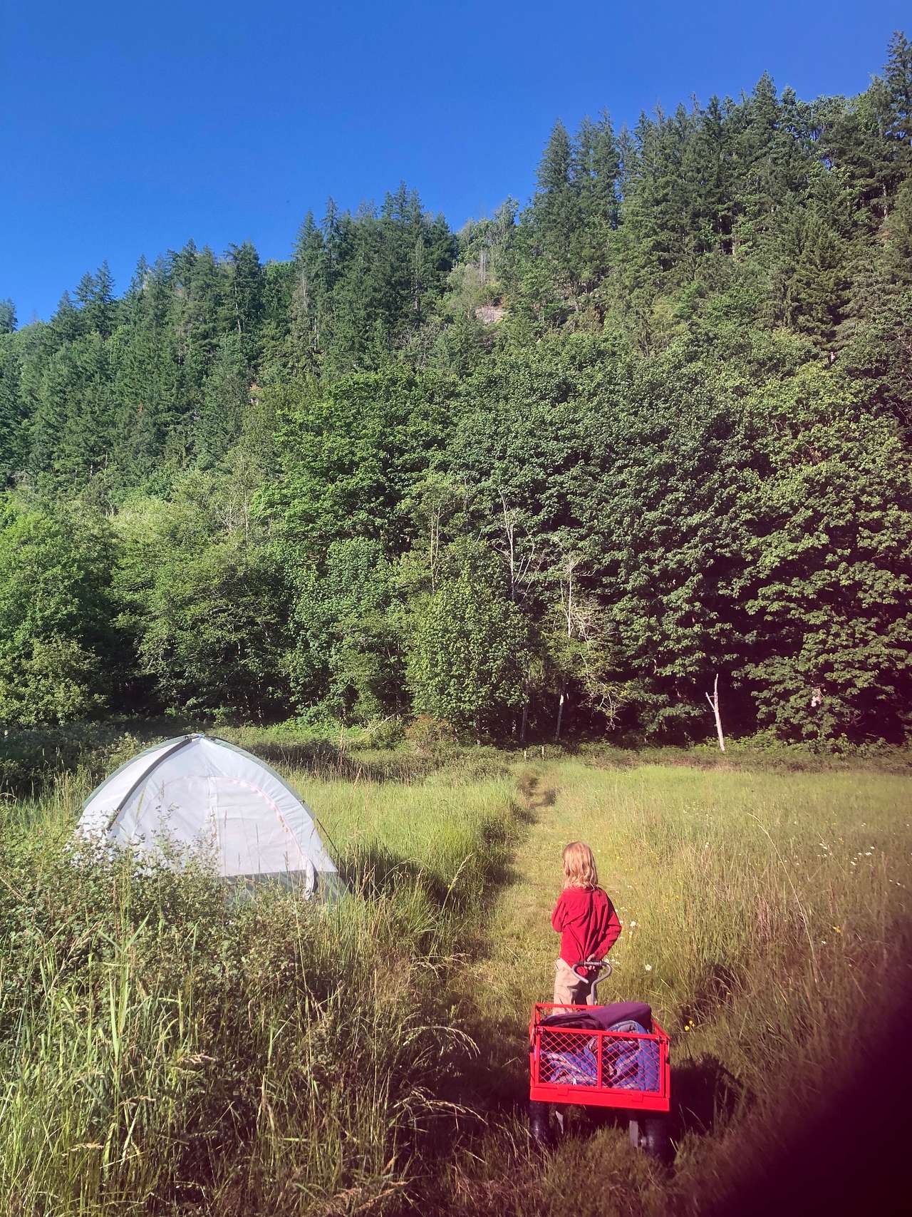 Picture of the site
