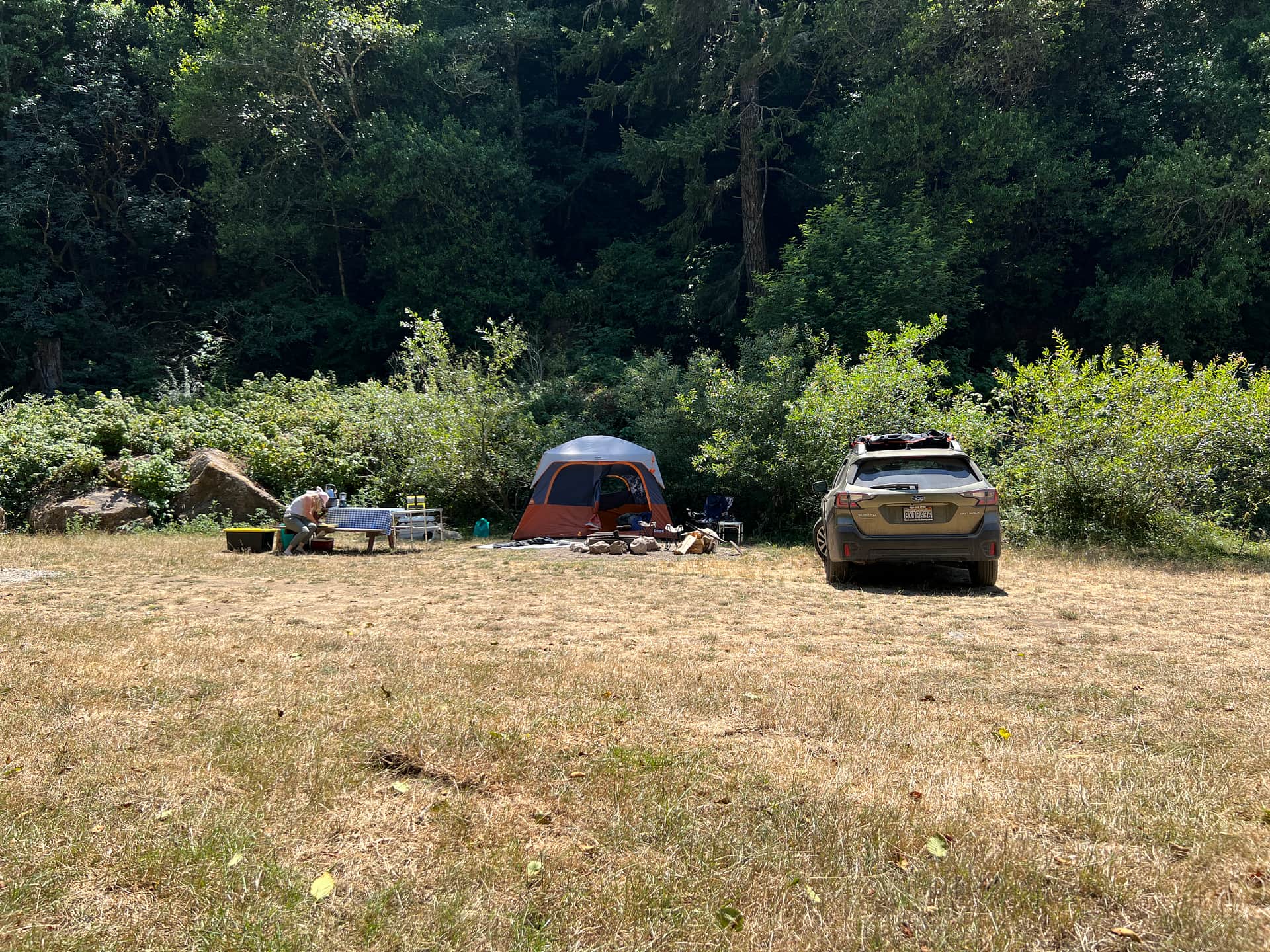 Picture of the site
