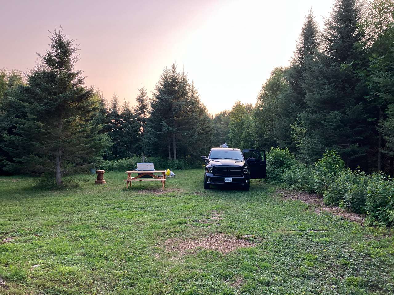 Picture of the site