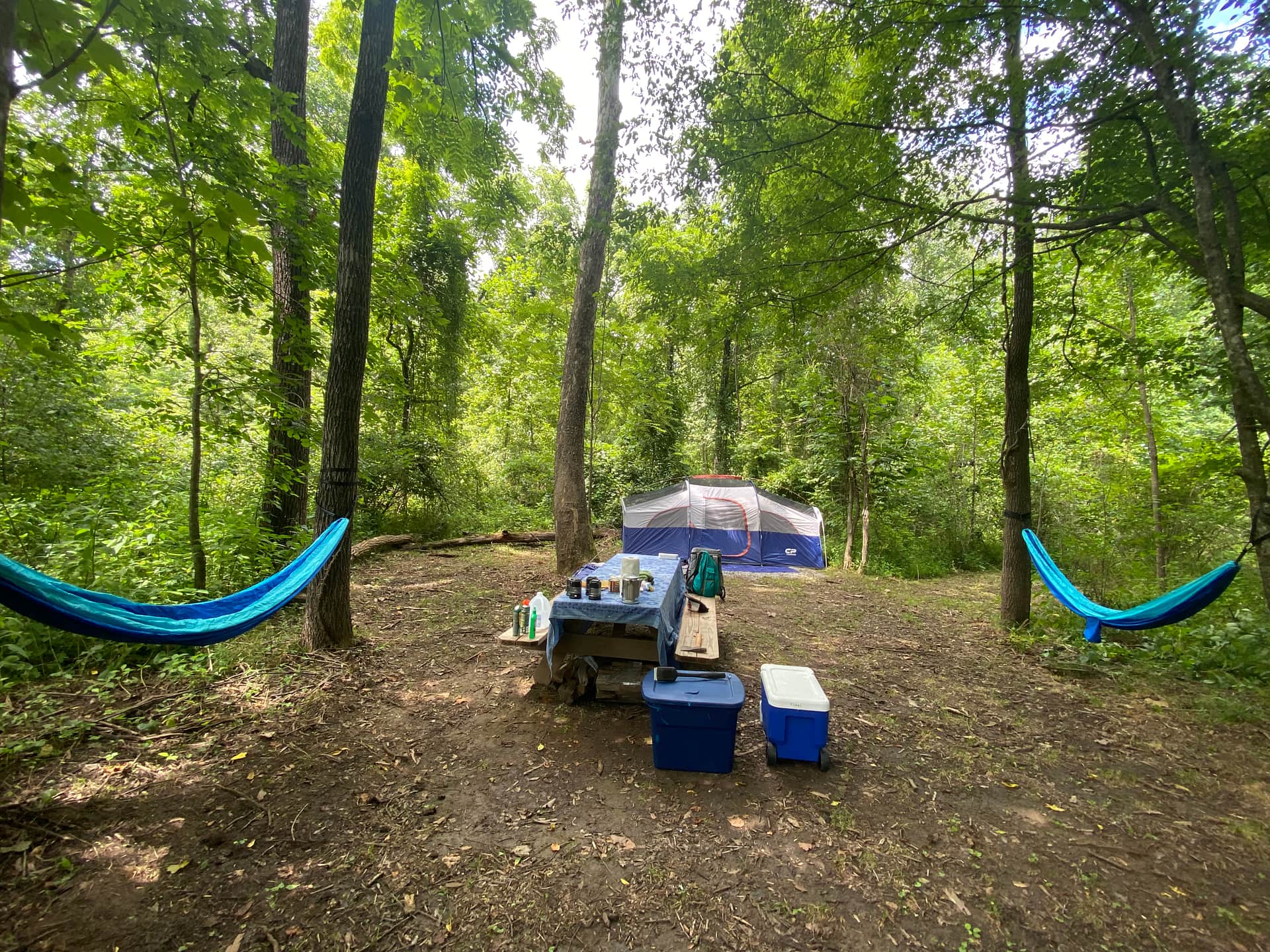 Picture of the site