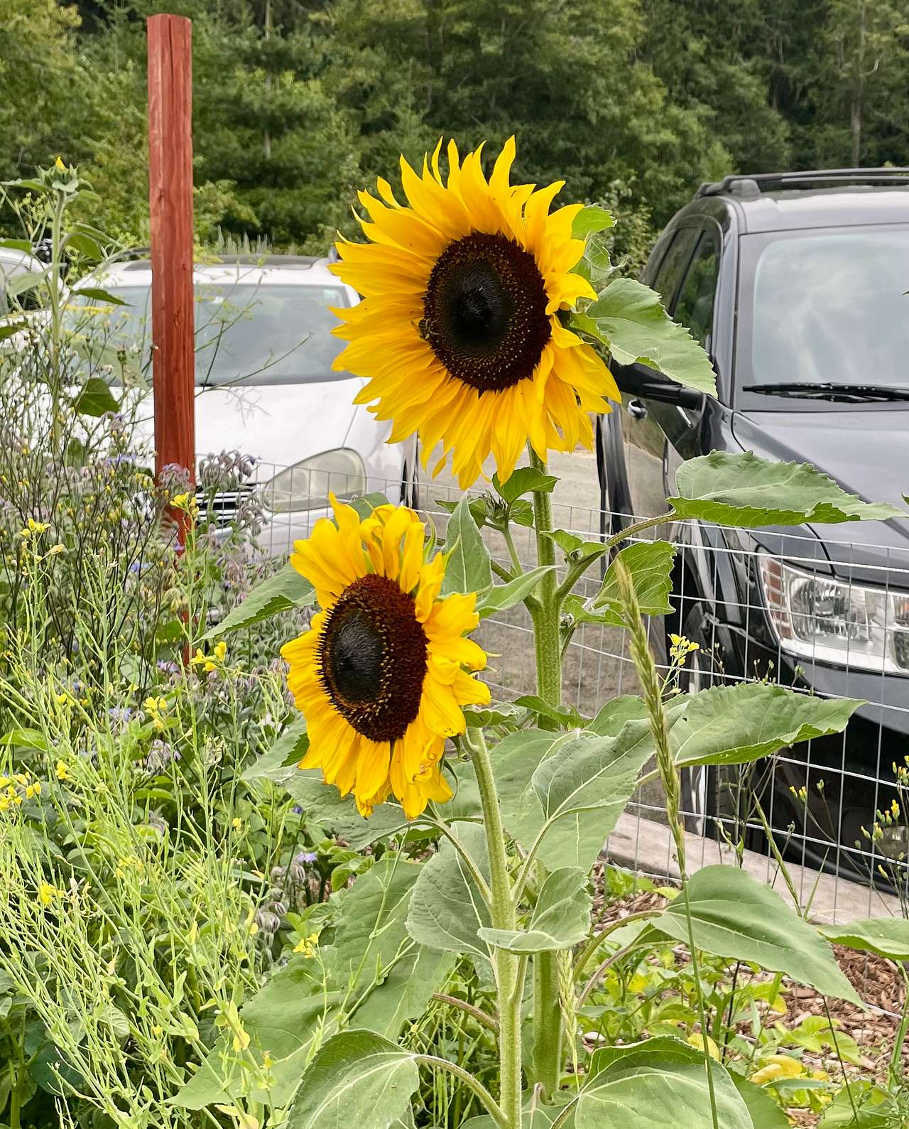 View rigs & rvs photos of Compass Rose Farms