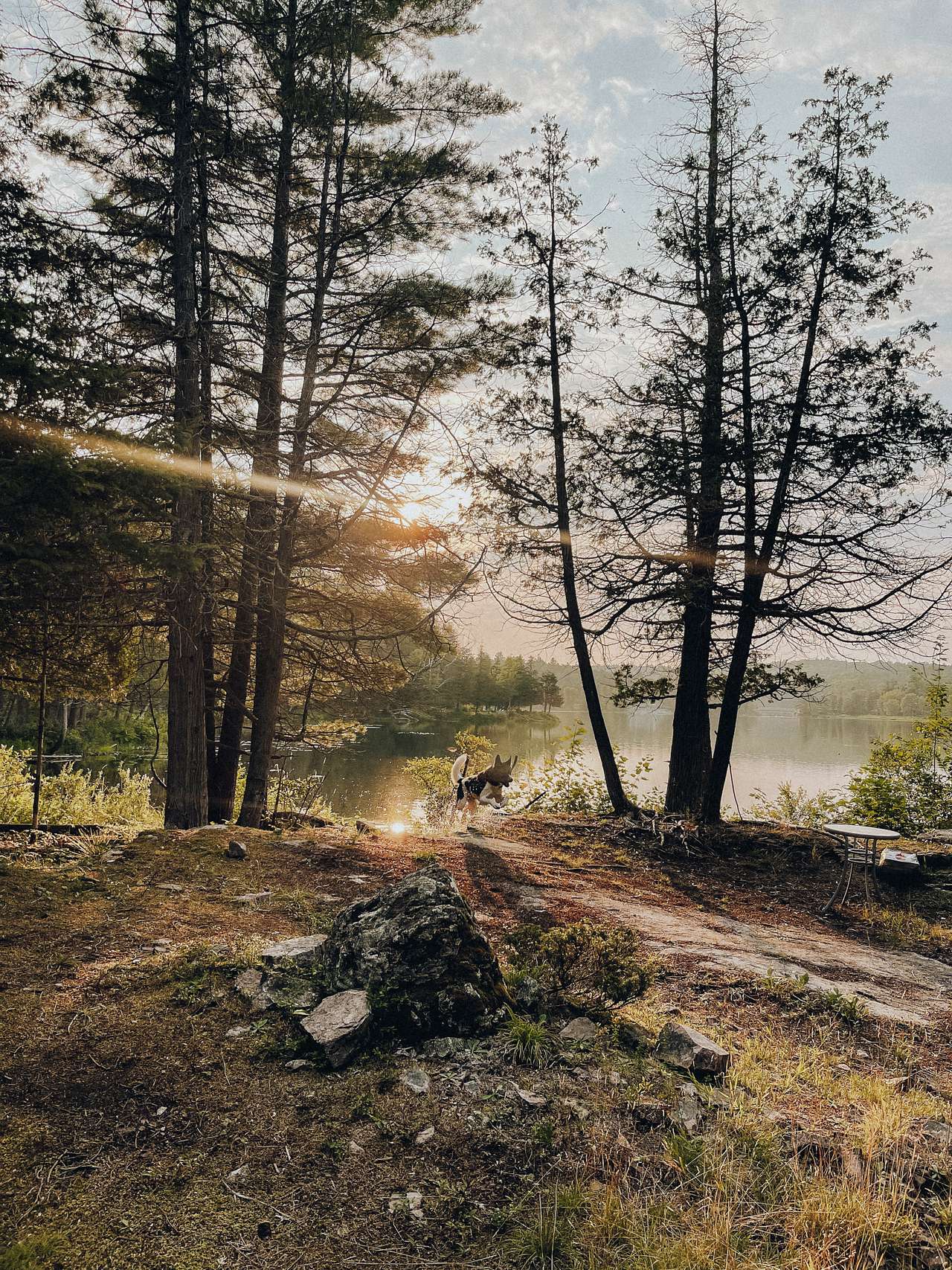 Picture of the site