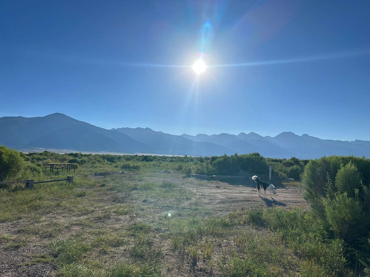 Picture of the site