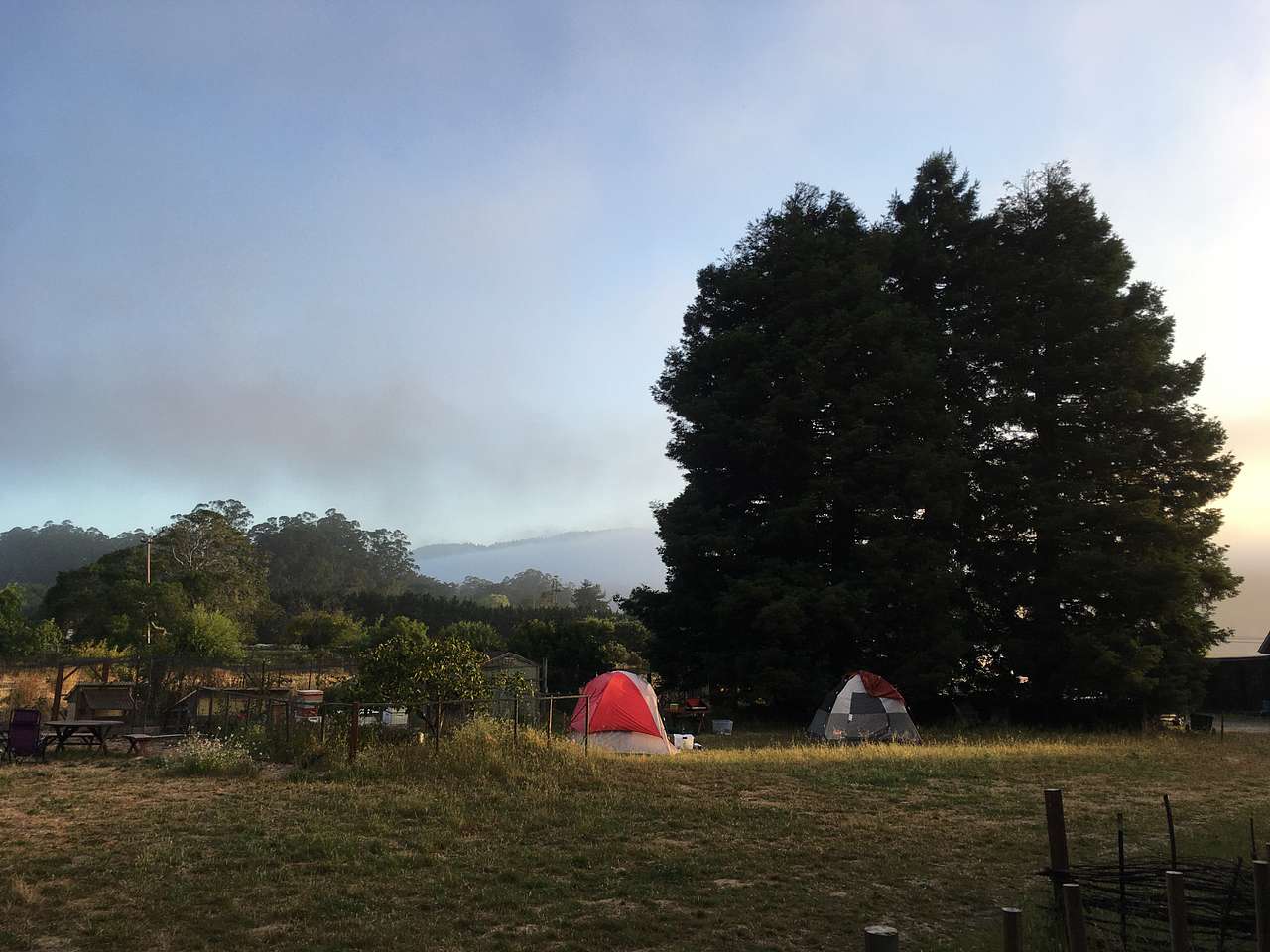 Picture of the site