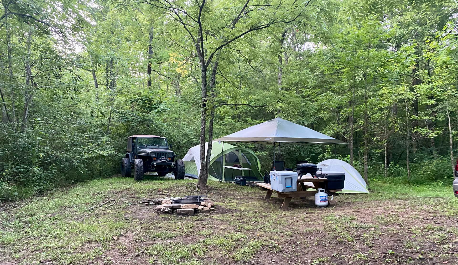 Picture of the site