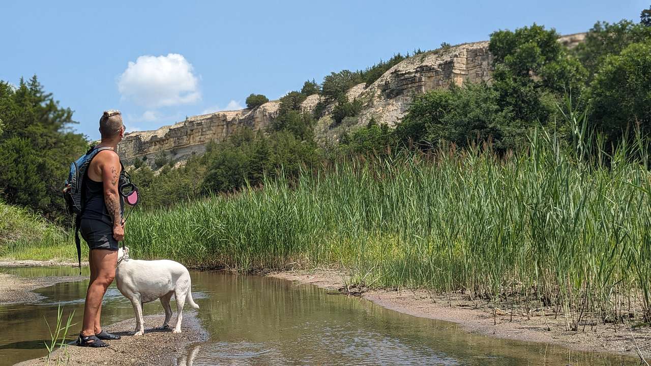 Picture of the site