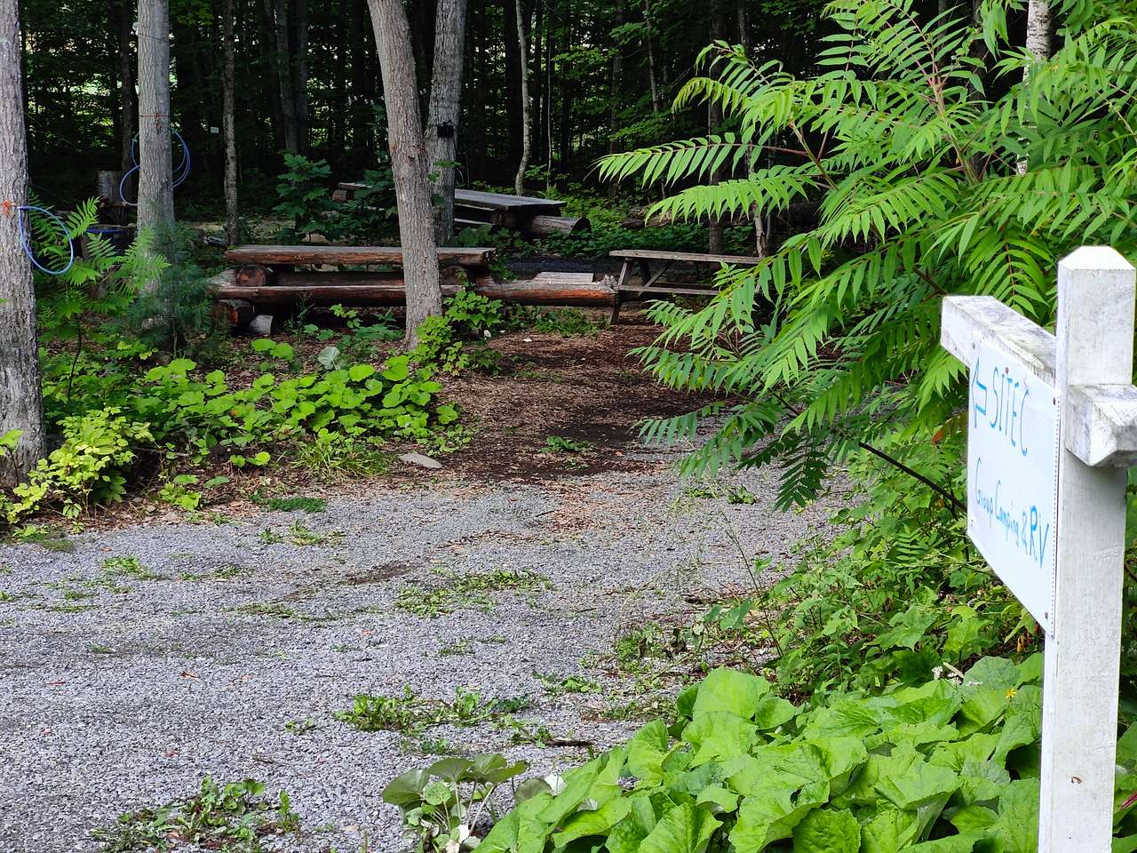 Picture of the site