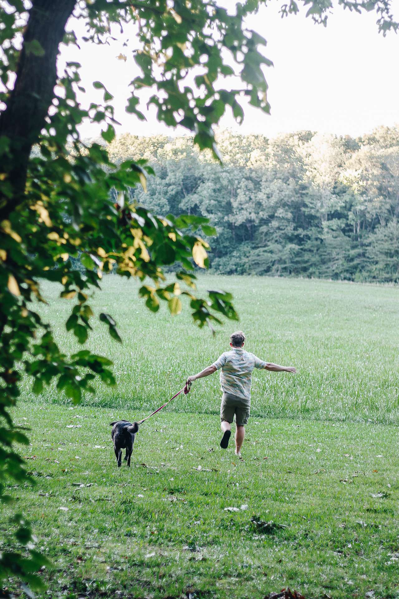 View pets photos of Grandview Camp @ Lemon Lane Farm