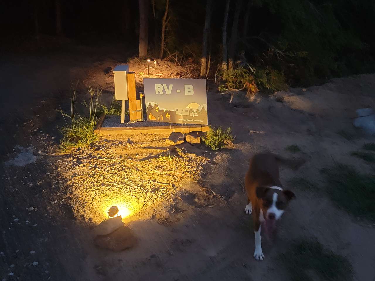 View pets photos of Heavenly Haven & Hideaways