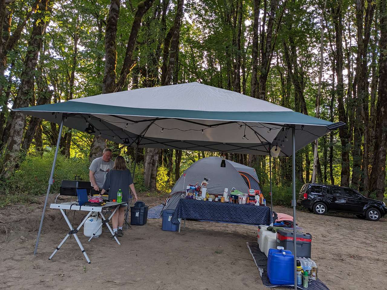 Picture of the site