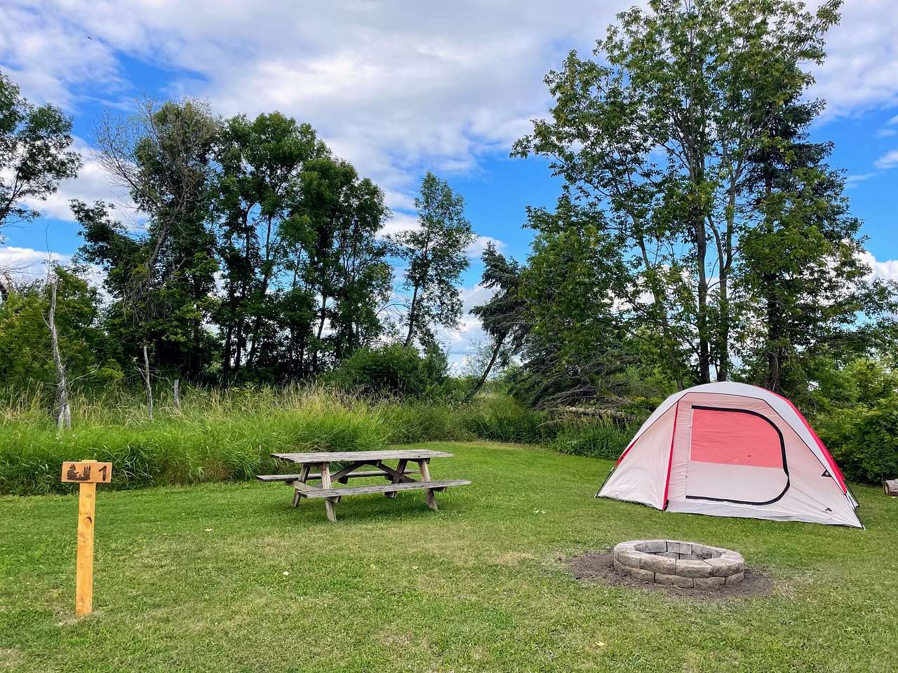 Picture of the site