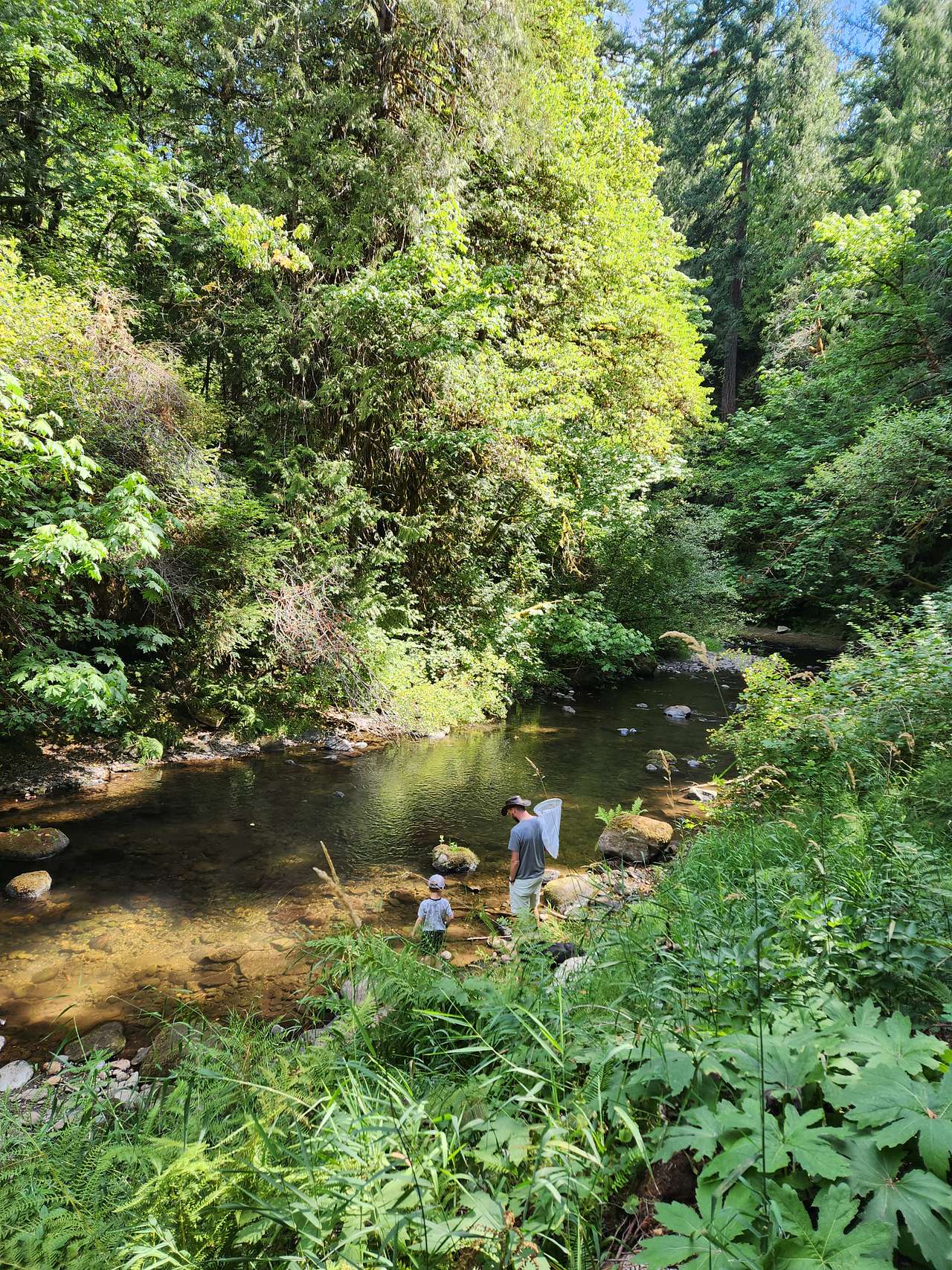 Picture of the site