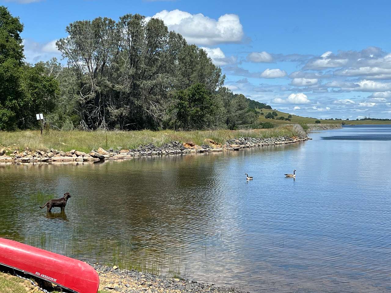 Picture of the site