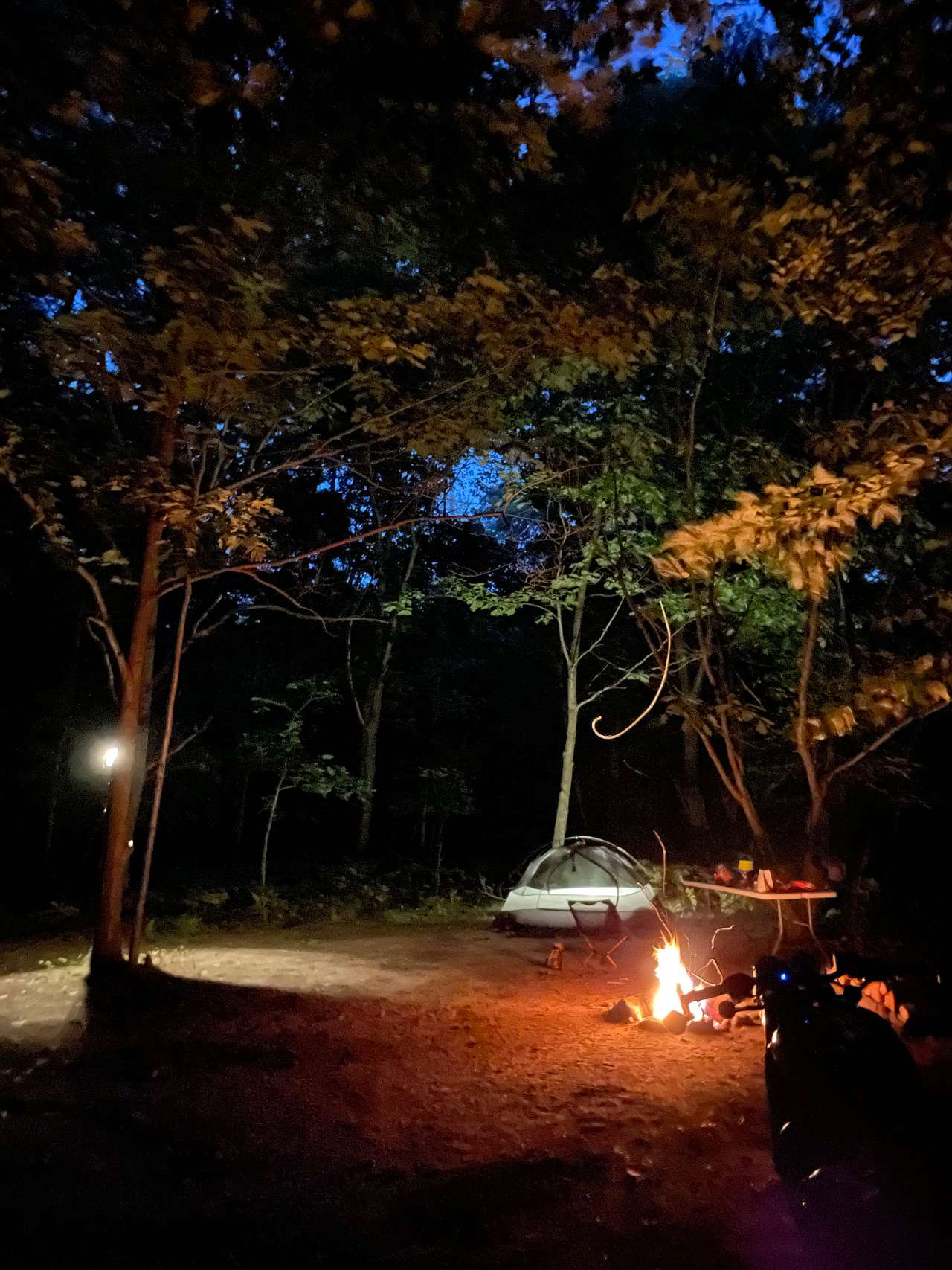 Picture of the site
